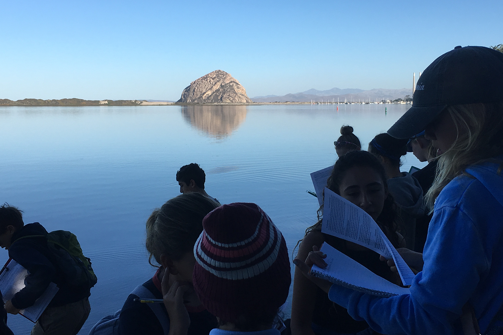 morrobay_2016-1.png