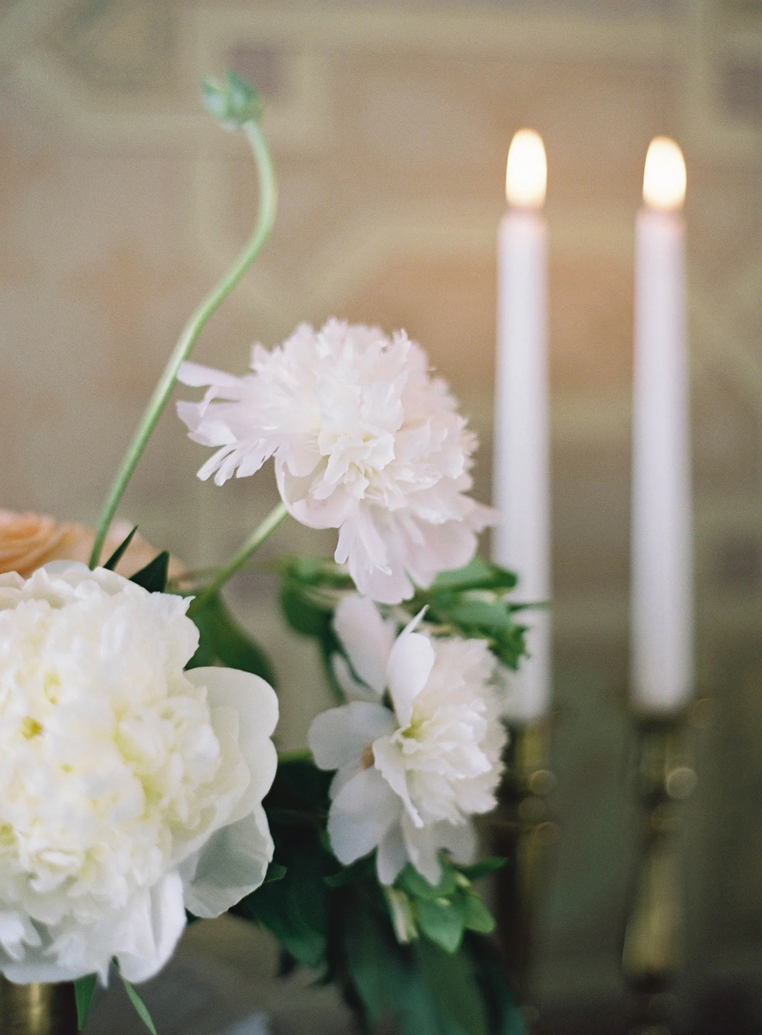Italian_Lemon_PavanFloral_stylist_BrieWalter_photographer_SaraWeir0041.jpg