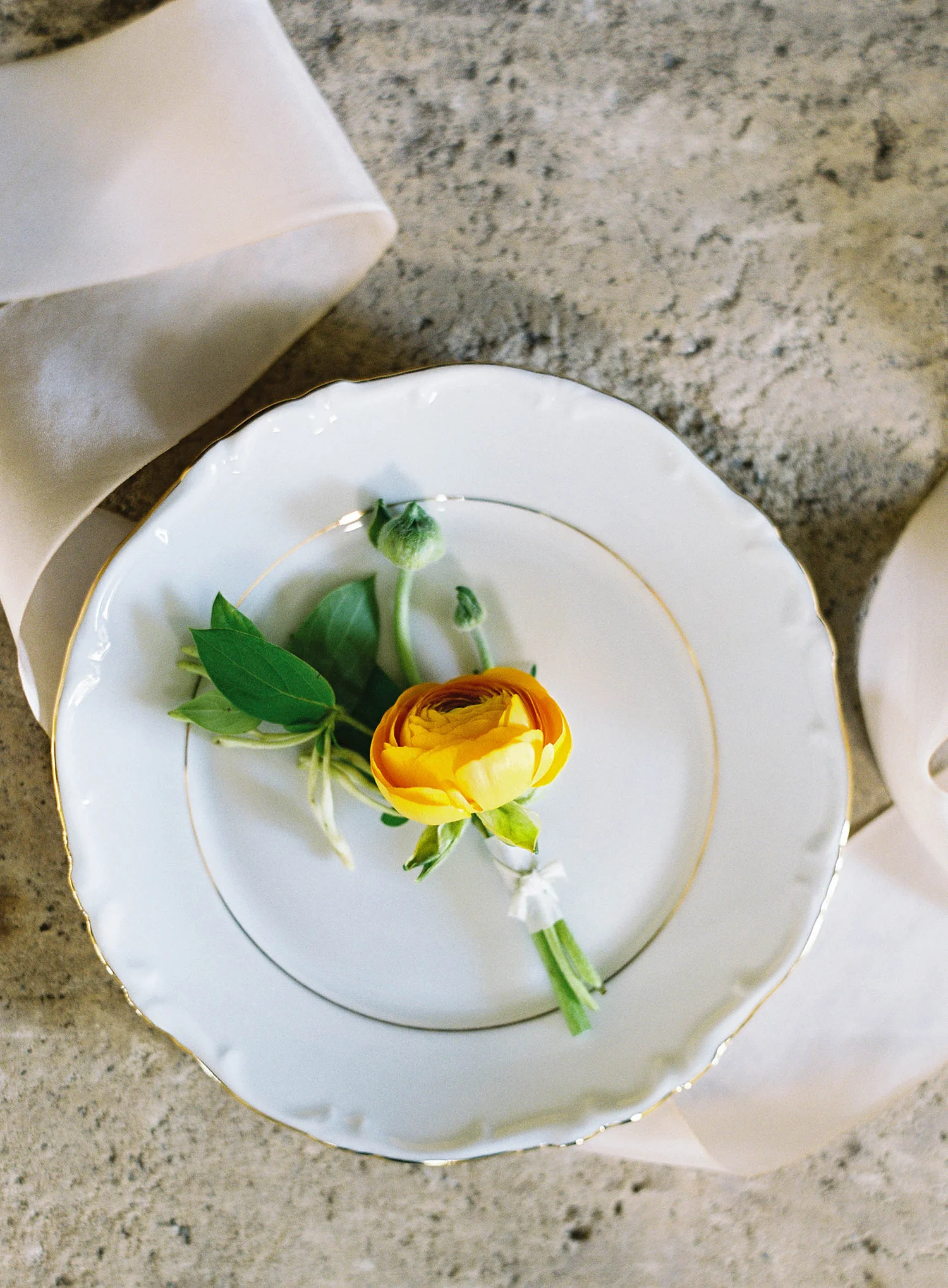 Italian_Lemon_PavanFloral_stylist_BrieWalter_photographer_SaraWeir0046.jpg