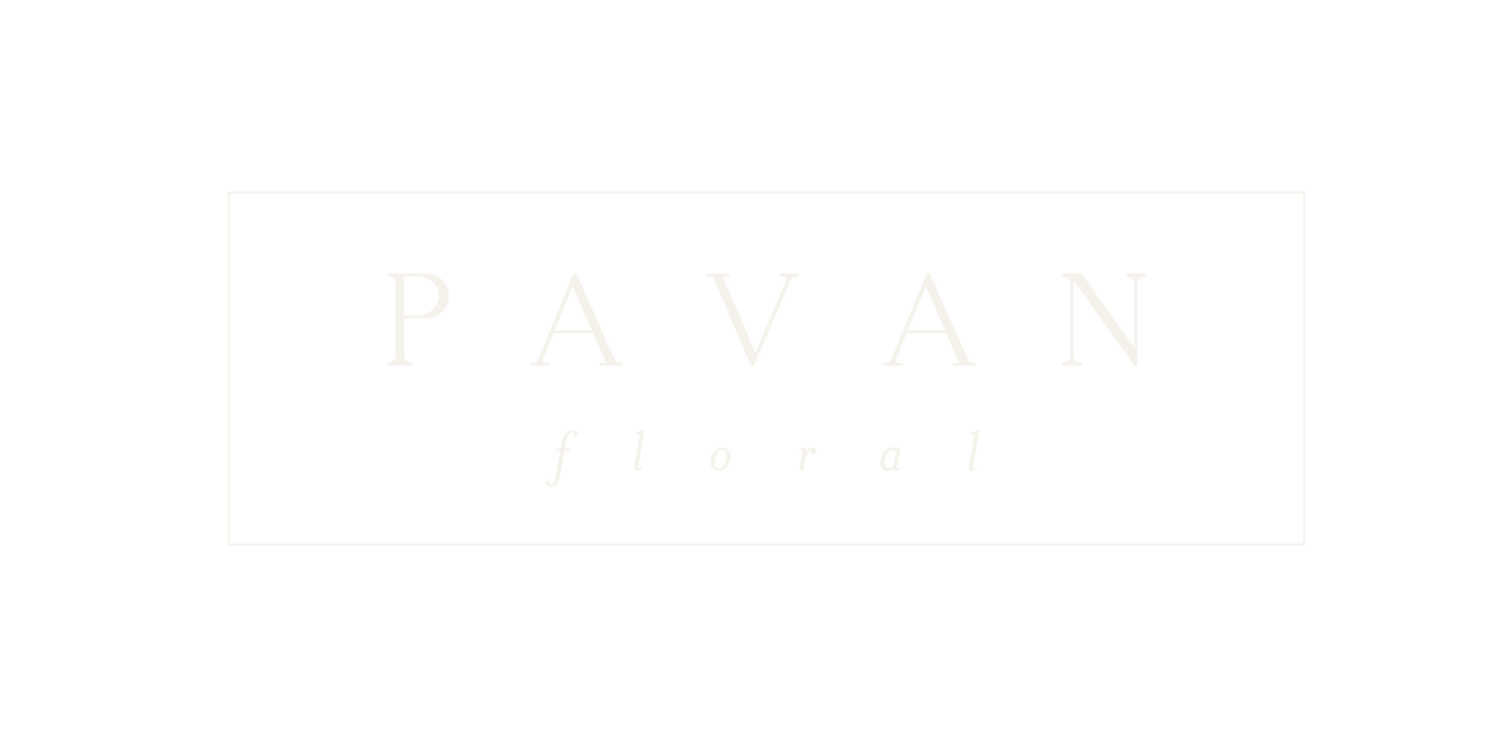 PAVAN FLORAL / Brie Walter