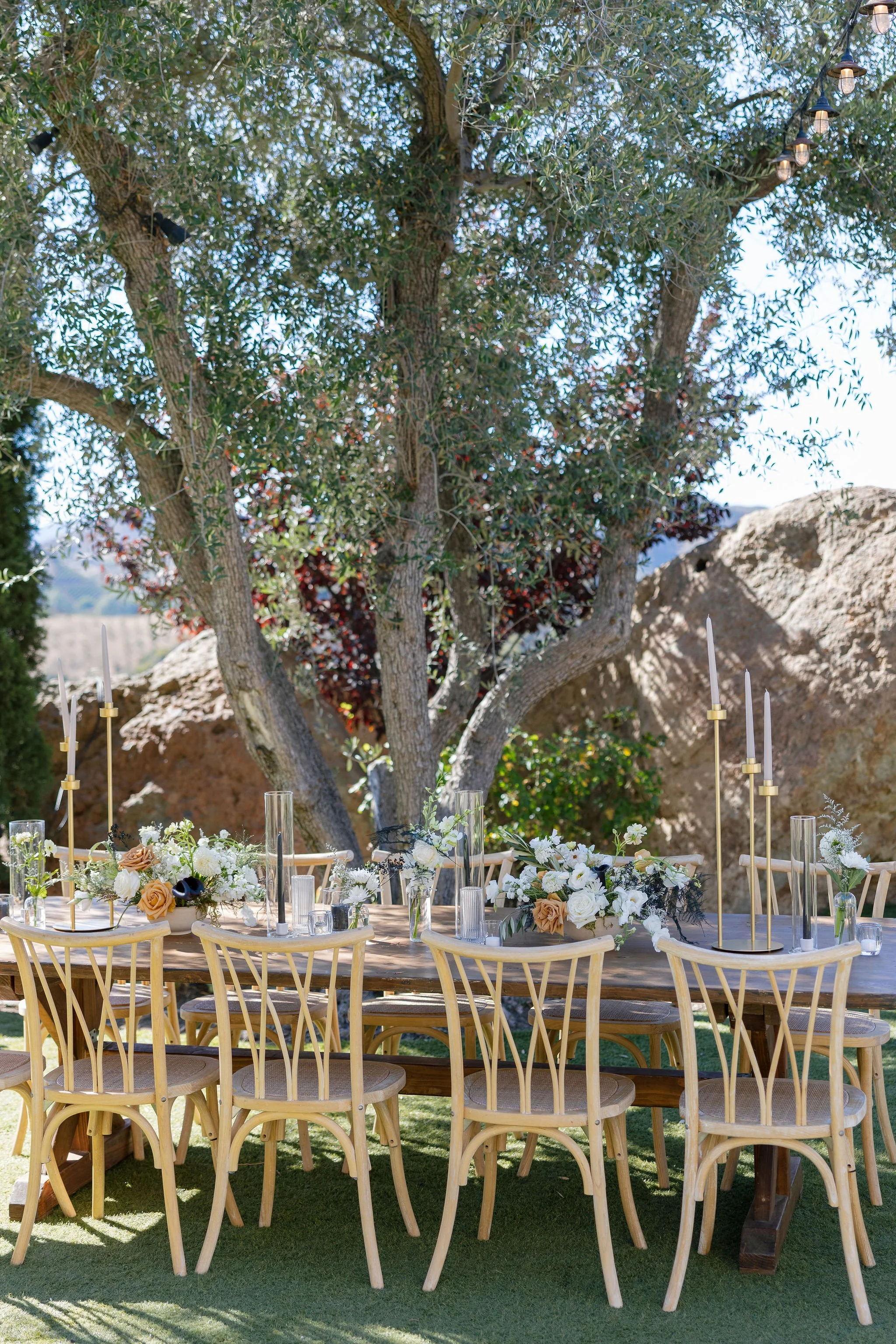 CieloFarmsEngagementParty_MalibuEngagementParty_Geoff&LyndsiPhotography_Jennifer&Jeff_Details9.jpg