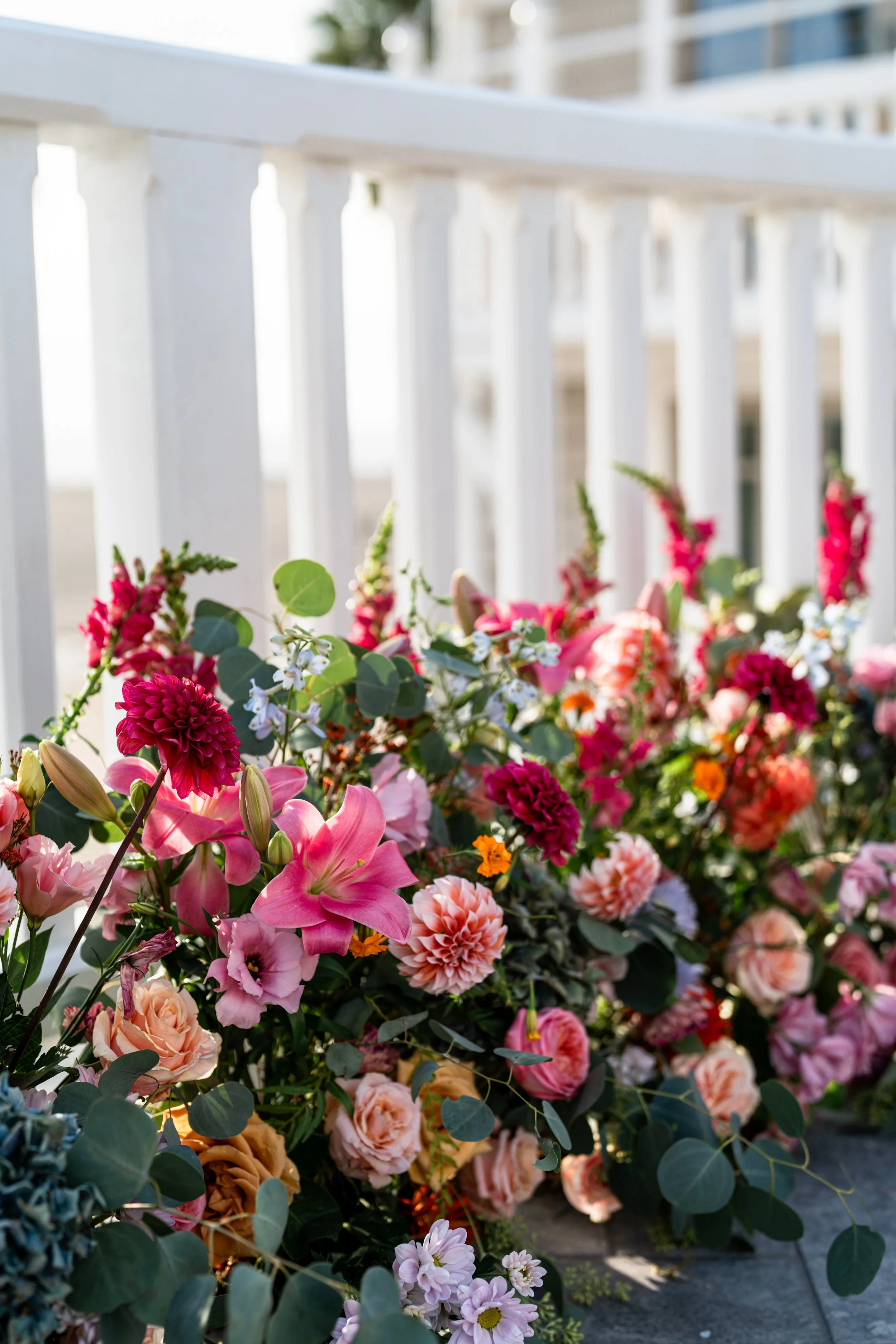 AllieJian-1134.jpg