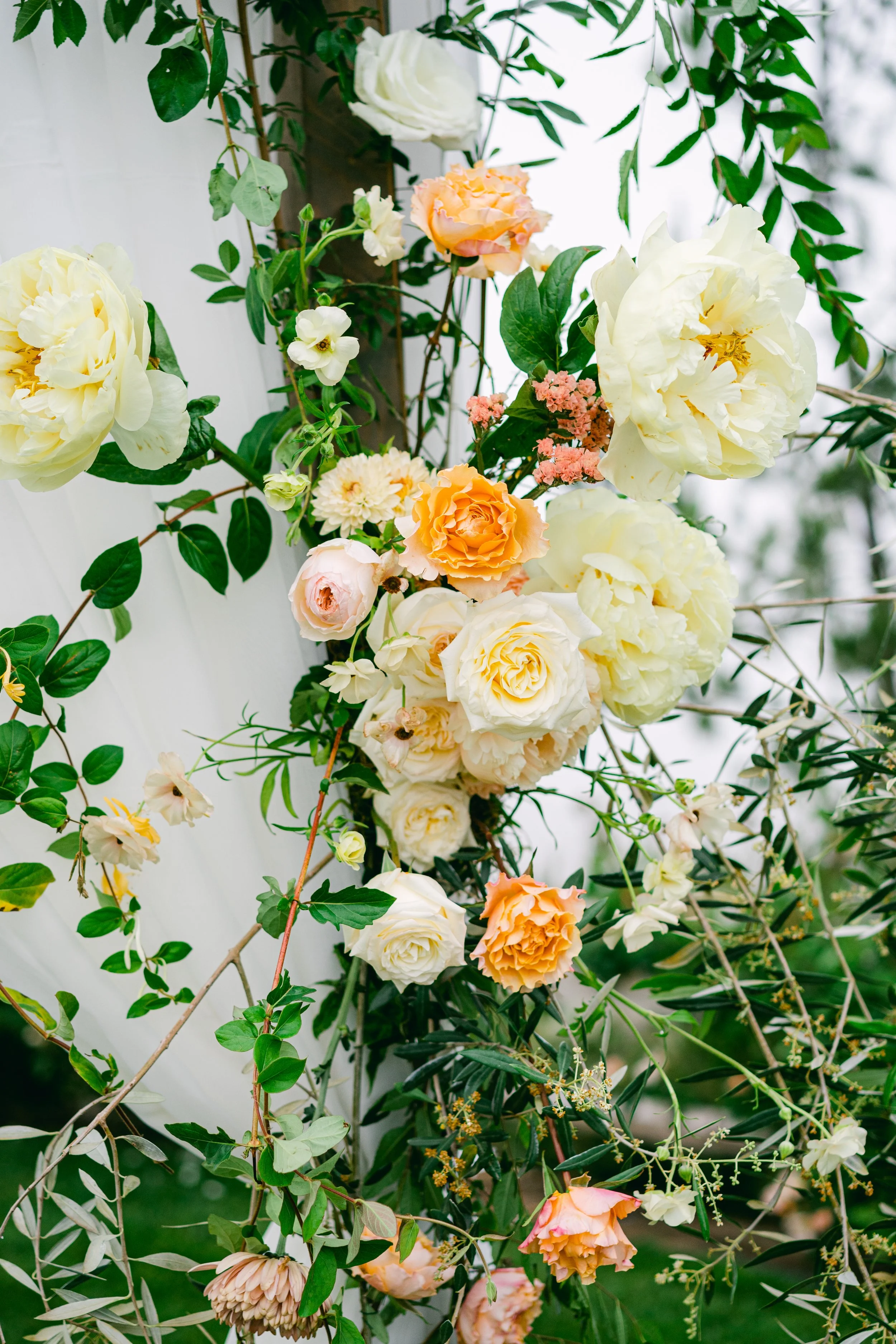 Daniel and Aida's Wedding-529.jpg