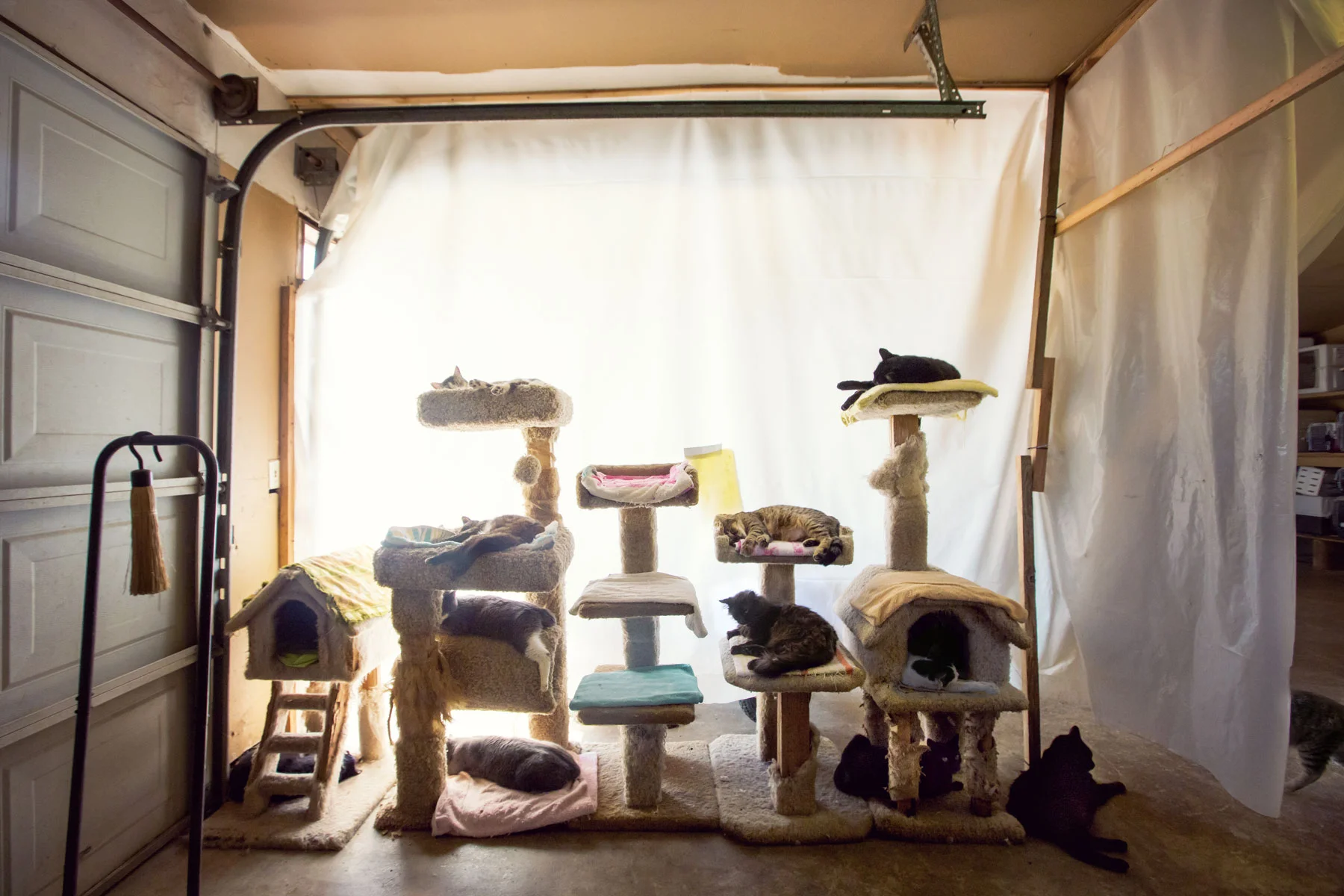 The Cat House on the Kings, Fresno, CA