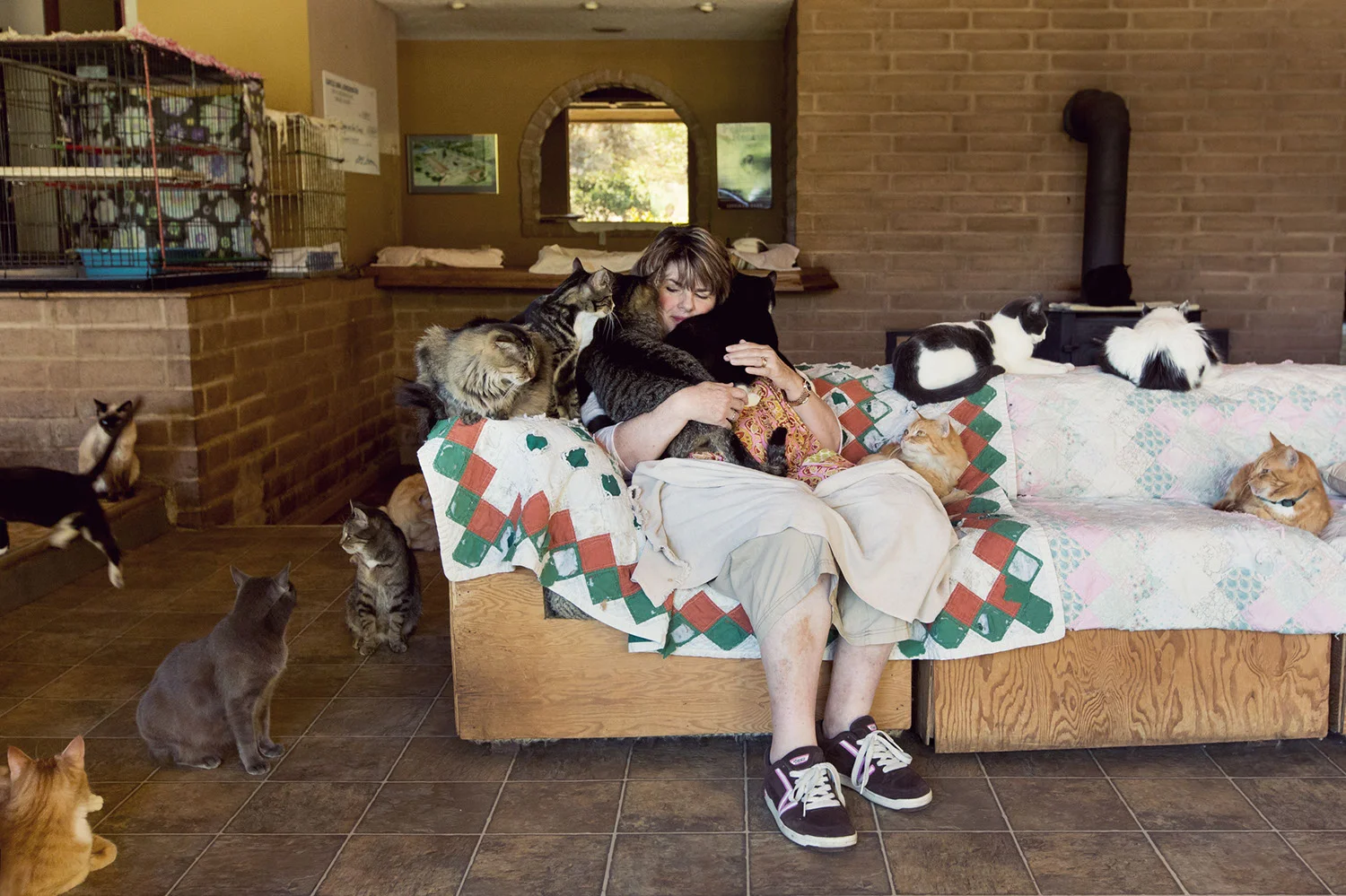 130330_catkingdom-026.jpg
