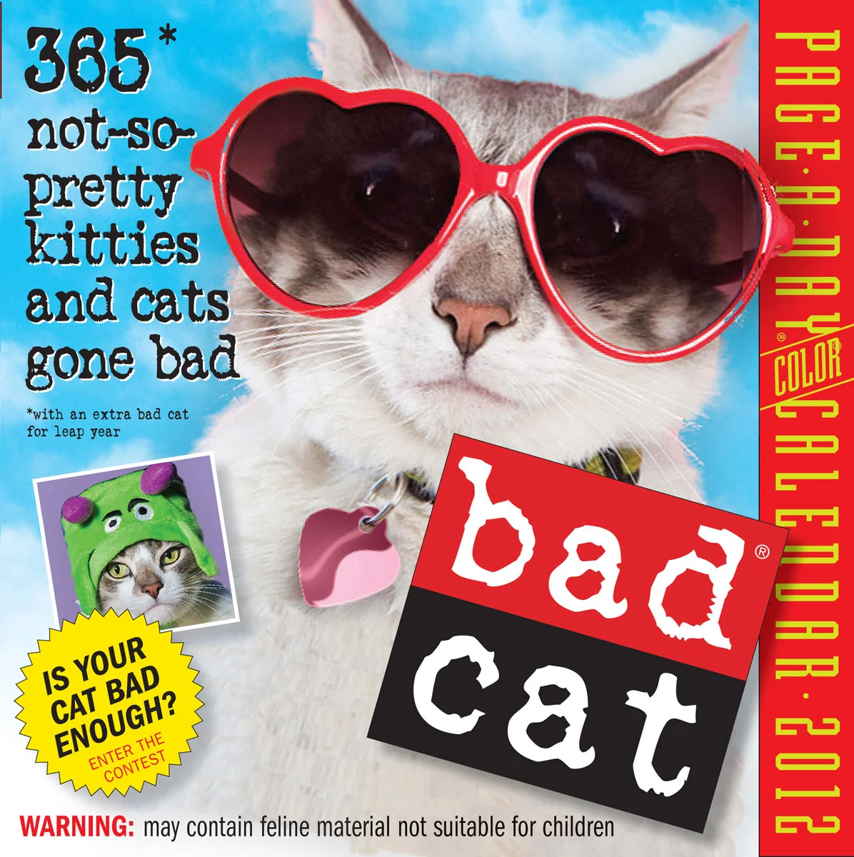 BadCat_2012.jpg