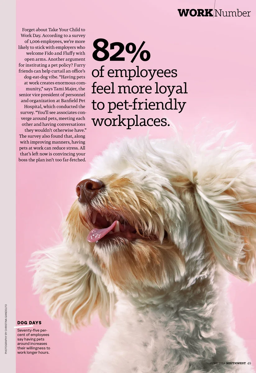 Southwest Magazine, June 2016