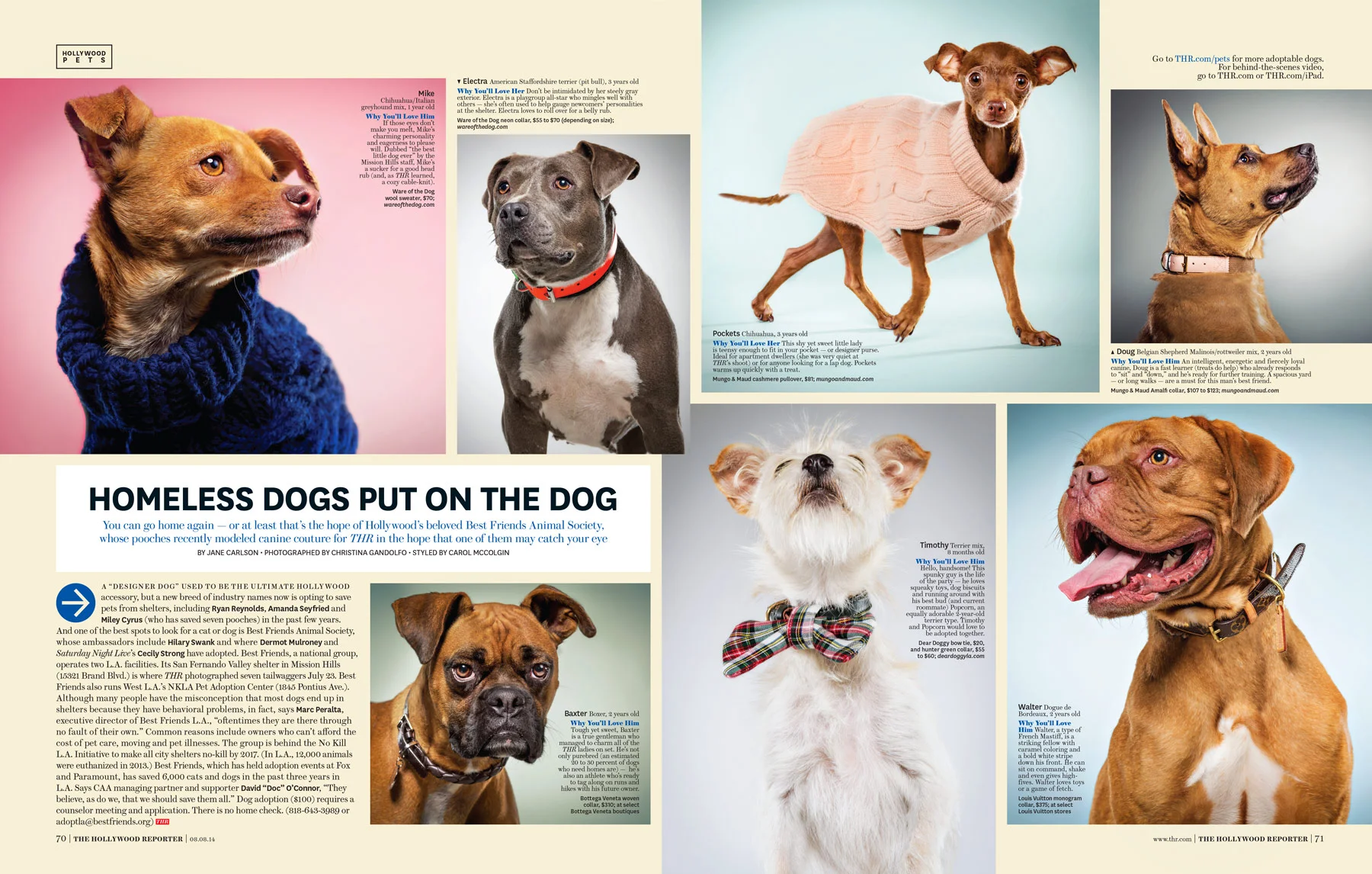 Dogs_HollywoodReporter.jpg