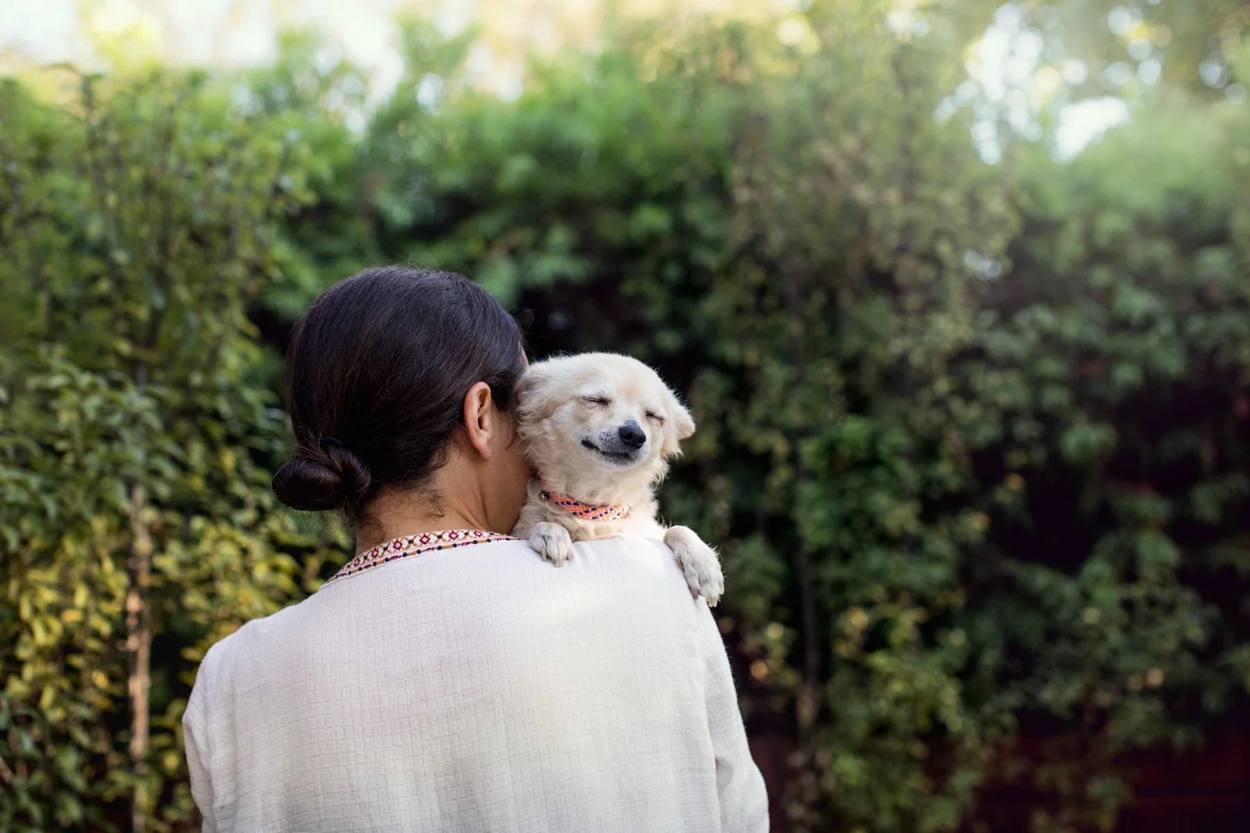 171027_FoundAnimals-878.jpg
