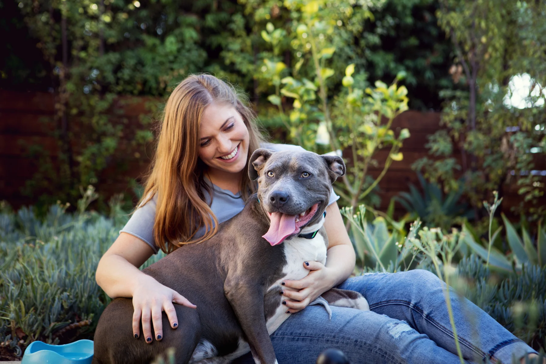 171027_FoundAnimals-764.jpg