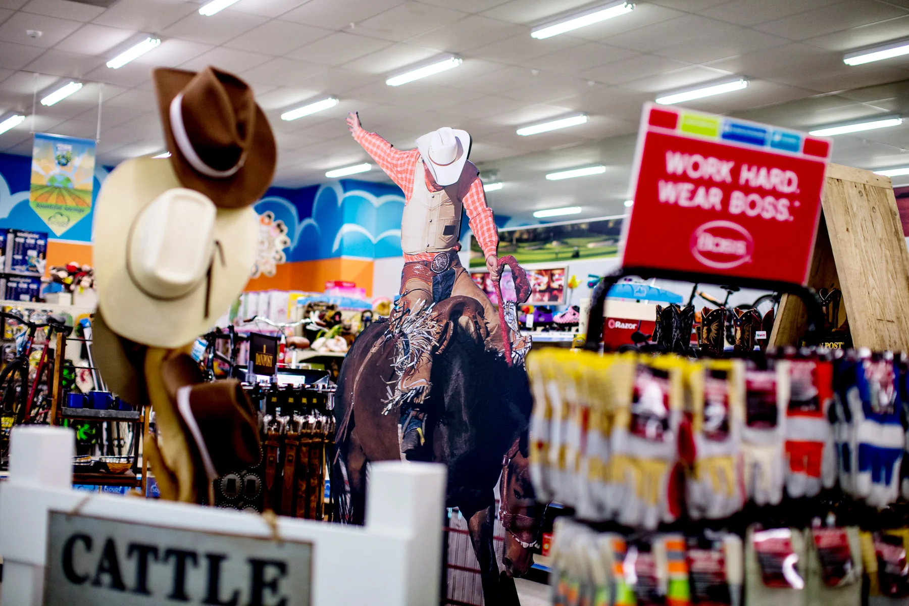 170116_superstore-126.jpg