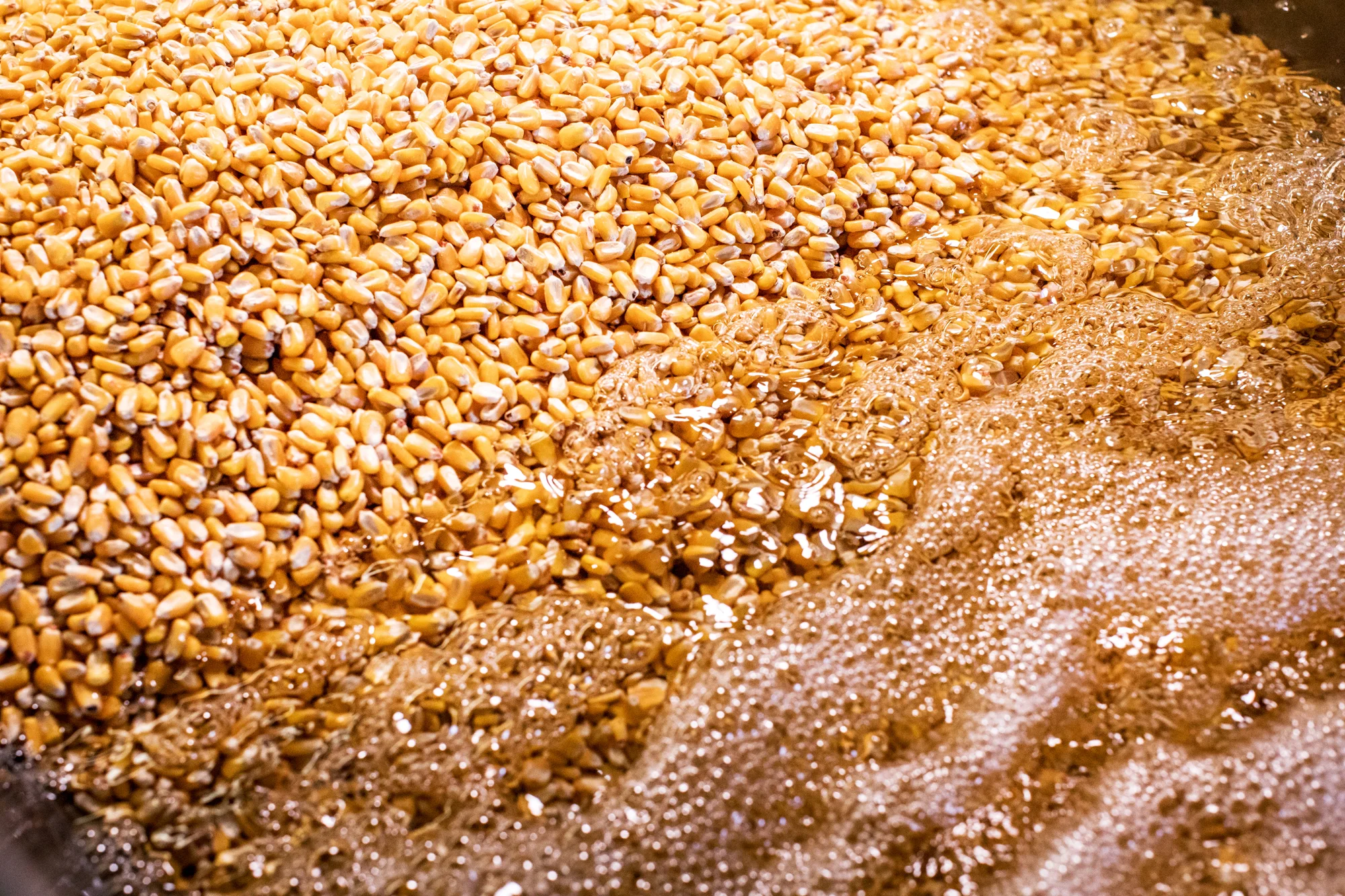 181129_tortillas-005 copy.jpg