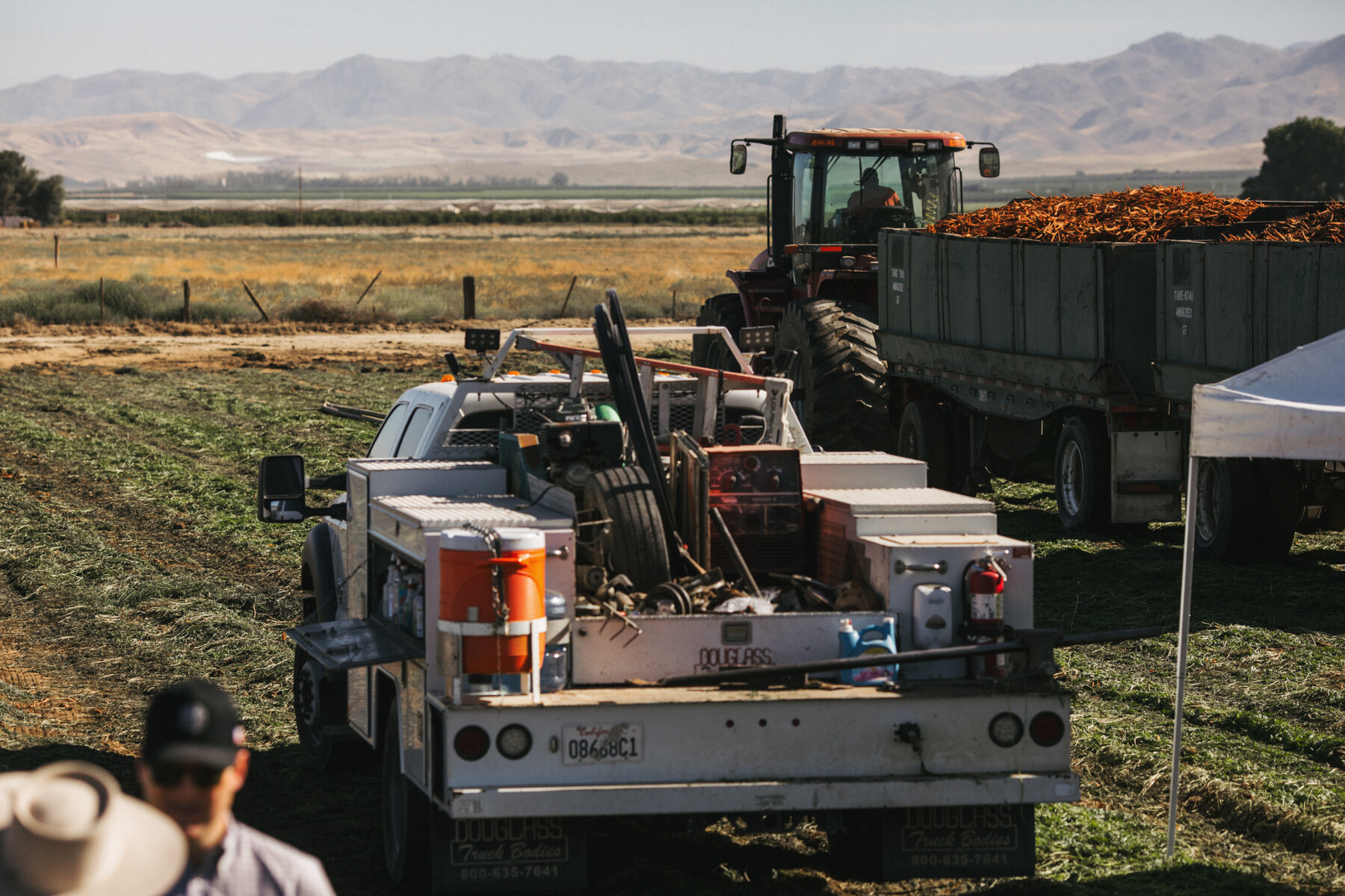  Moore Farms supplies carrots to Grimmway Farms, the largest producer of carrots worldwide. 