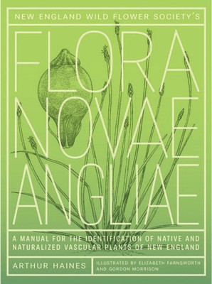 Flora Novae Angliae: A manual for the identification of native and naturalized higher vascular plants of New England by Arthur Haines 
