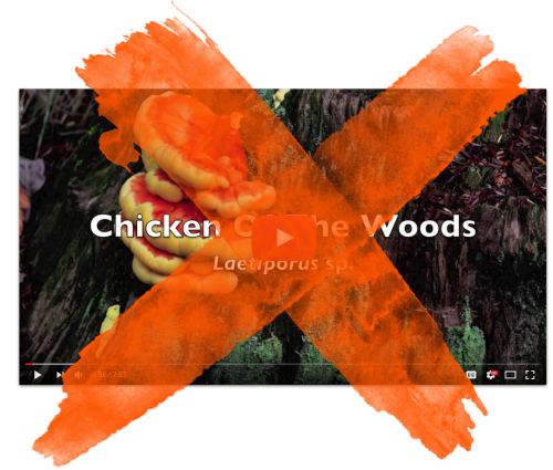 AHN_No_YouTube.png