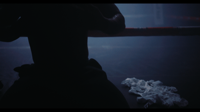 Boxing-flash blue.gif (Copy)