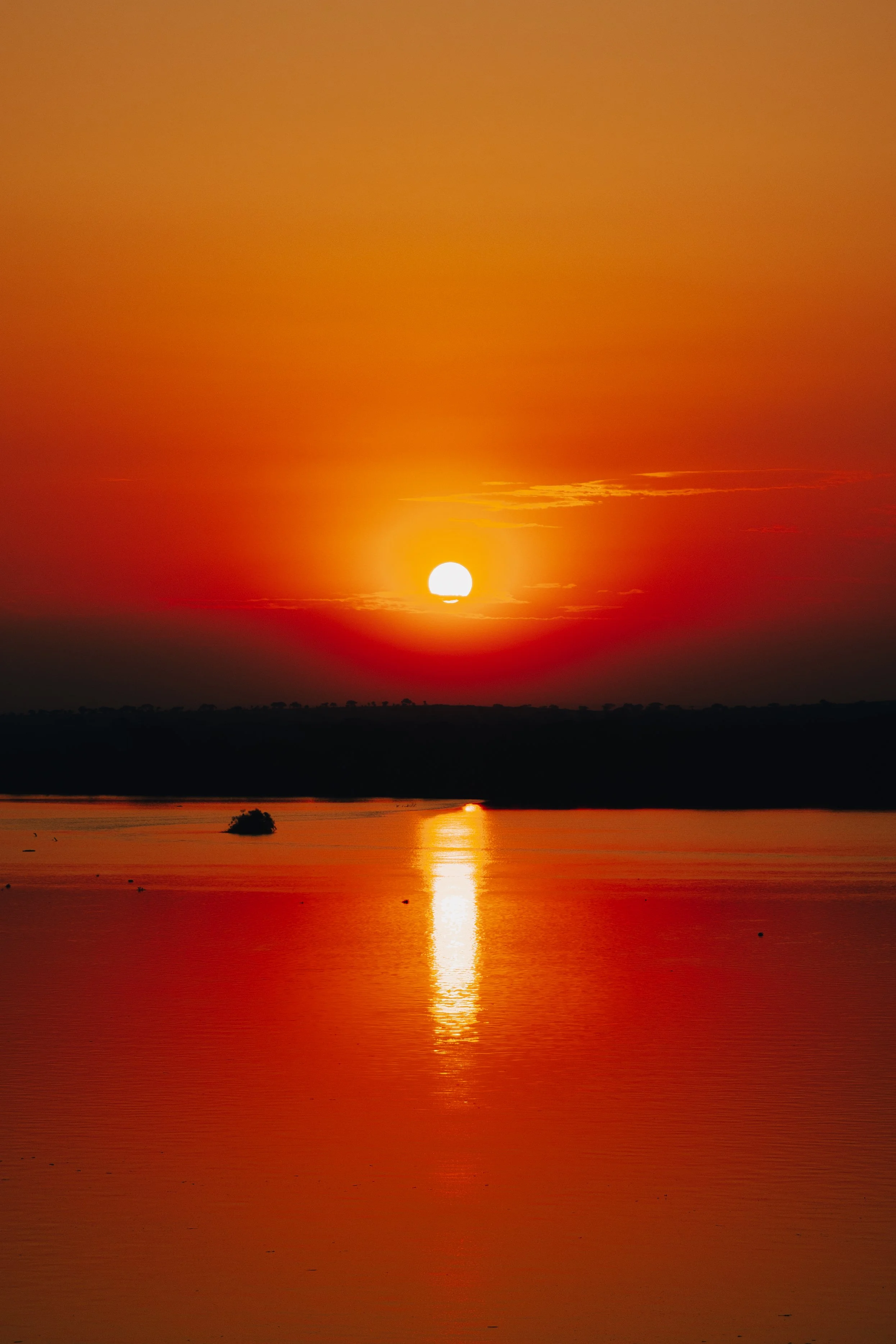 6C0A2467.jpg