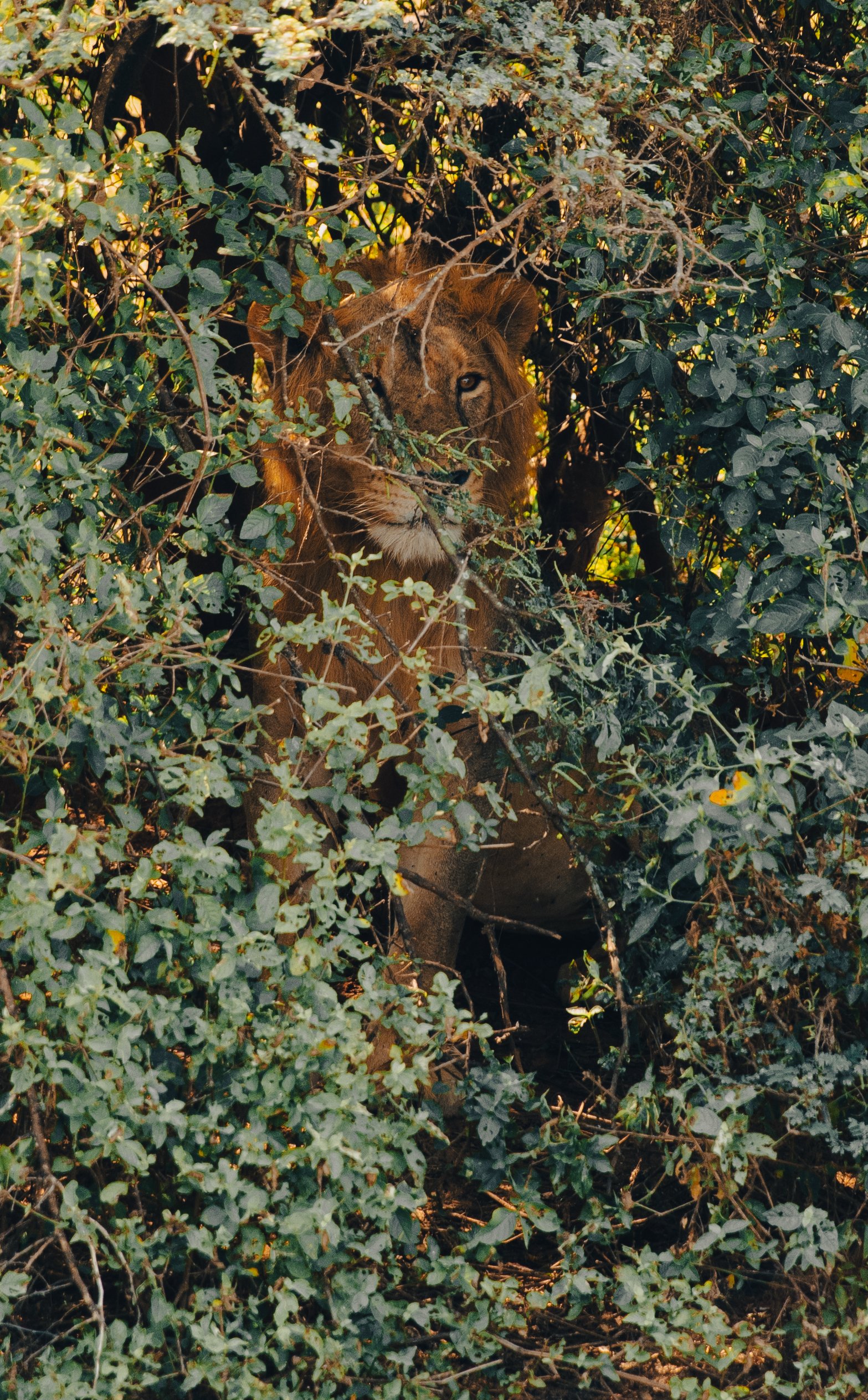 6C0A2636.jpg