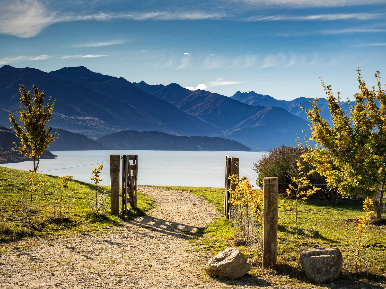 NZ Hor-5.jpg