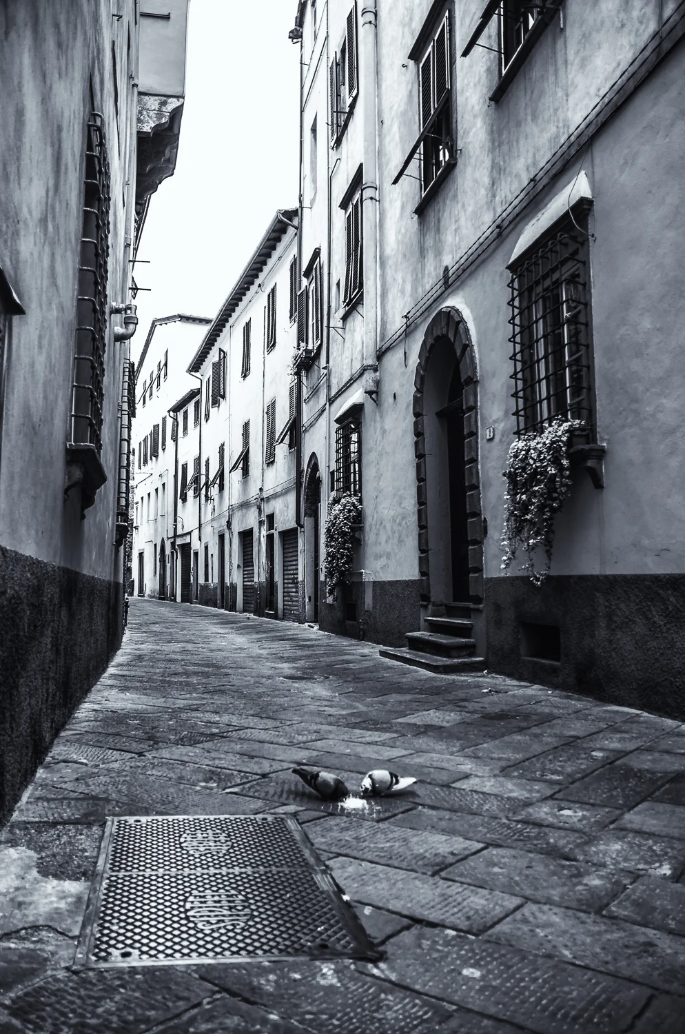Italy BW-2.jpg