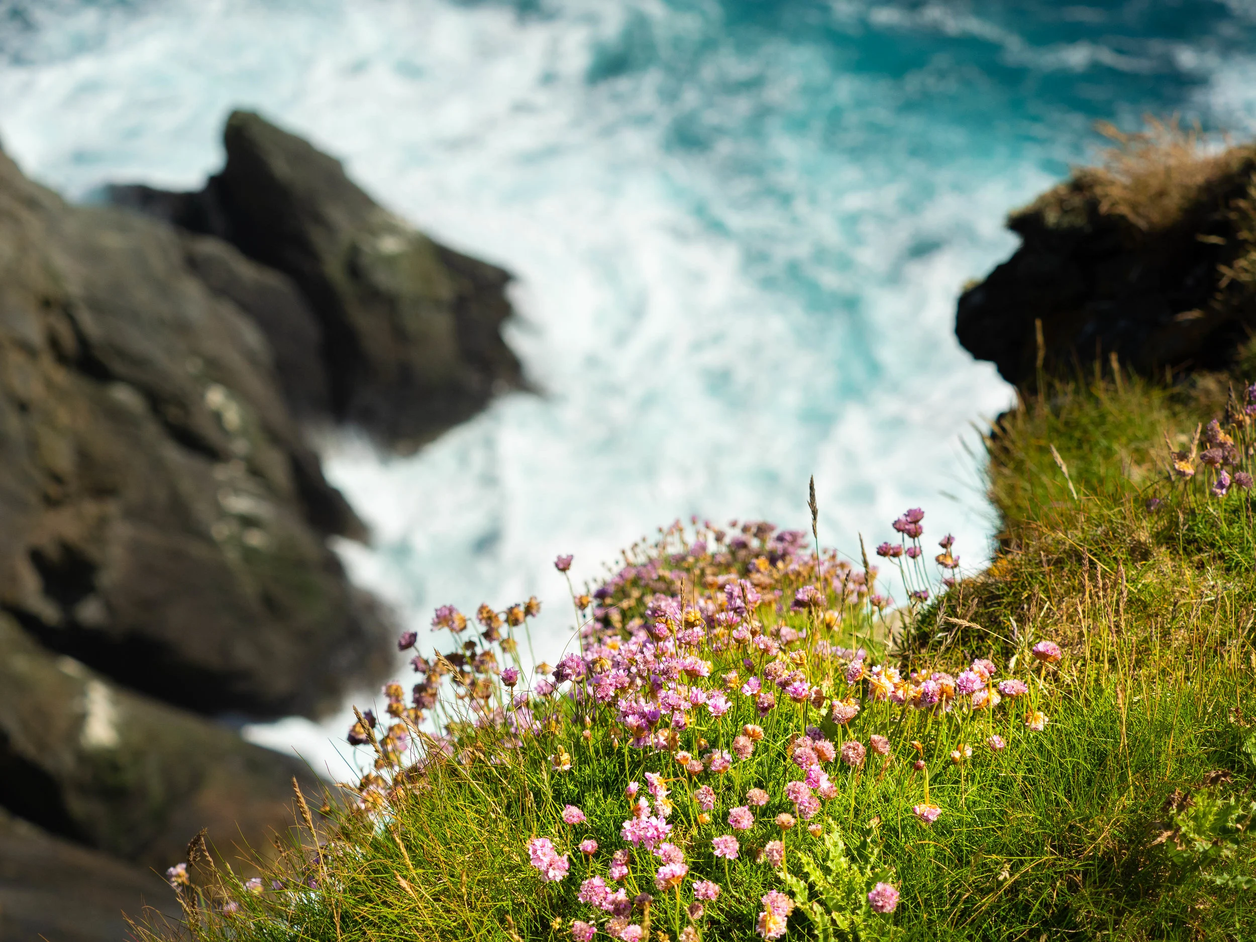 Sunmburgh Heads, Shetland