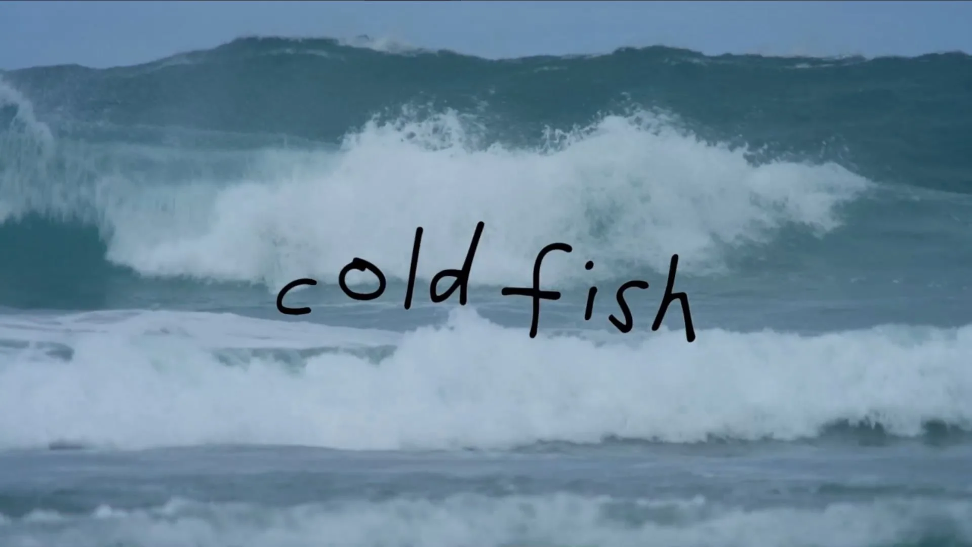 COLD FISH (2017)