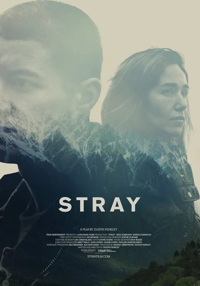 STRAY (2017)