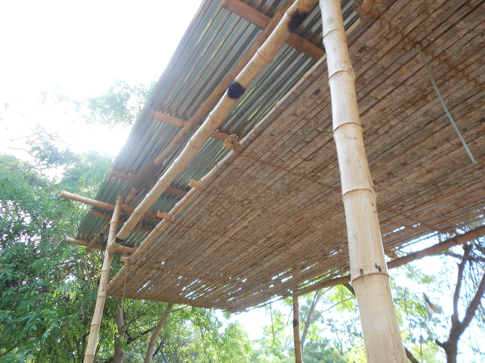 DSCN4933.JPG