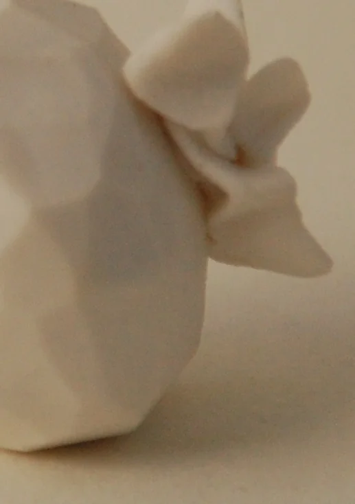 DSC_0083.JPG