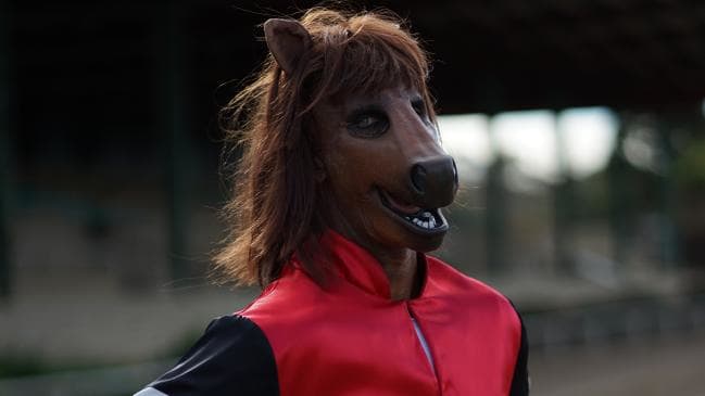 Fitzy Phar Lap.jpeg