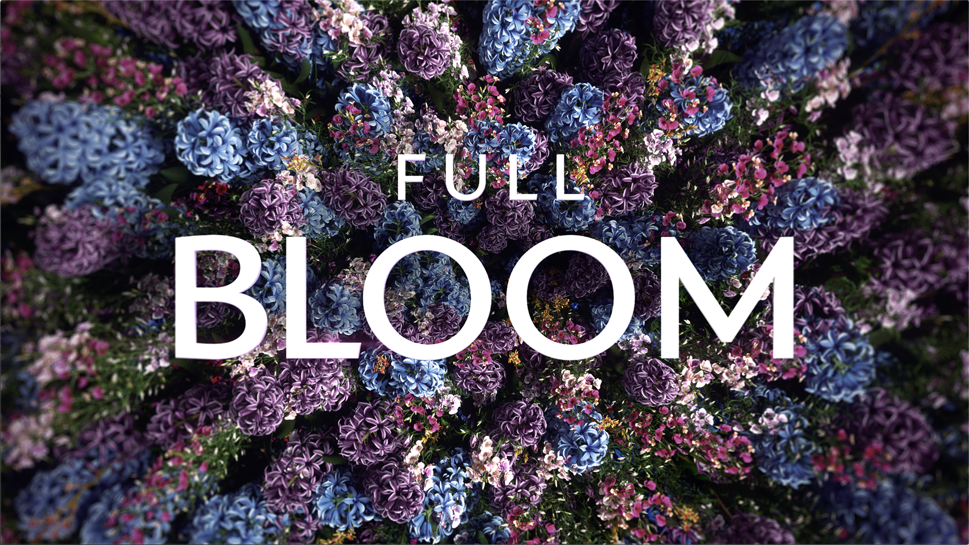 Full Bloom - HBO Max — Eureka