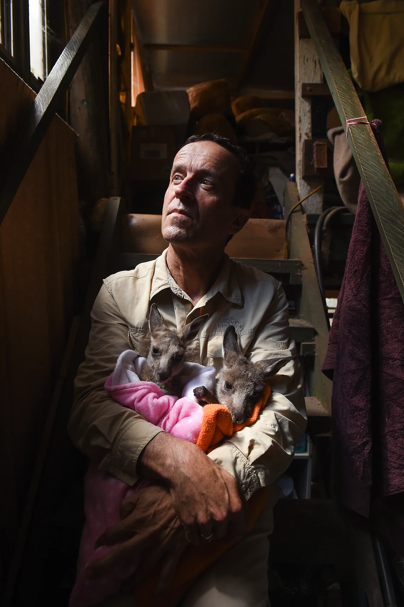 (Photo Mark Jesser) Yackandandah.
Kangaloola Wildlife Shelter.
A secret government report provides a damning assessment of the Kangaroo Pet Food Trial (KPFT) in Victoria, exposing fraud, illegal activity and unsustainable shooting.
PICTURED: Chris Lehmann with some young kangaroos.