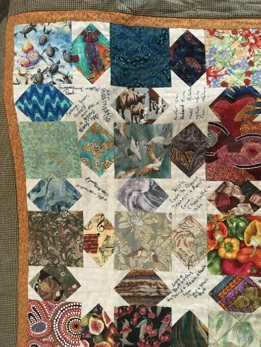 Novelty fabric quilt bloghop — Duck Creek Mountain Quilting