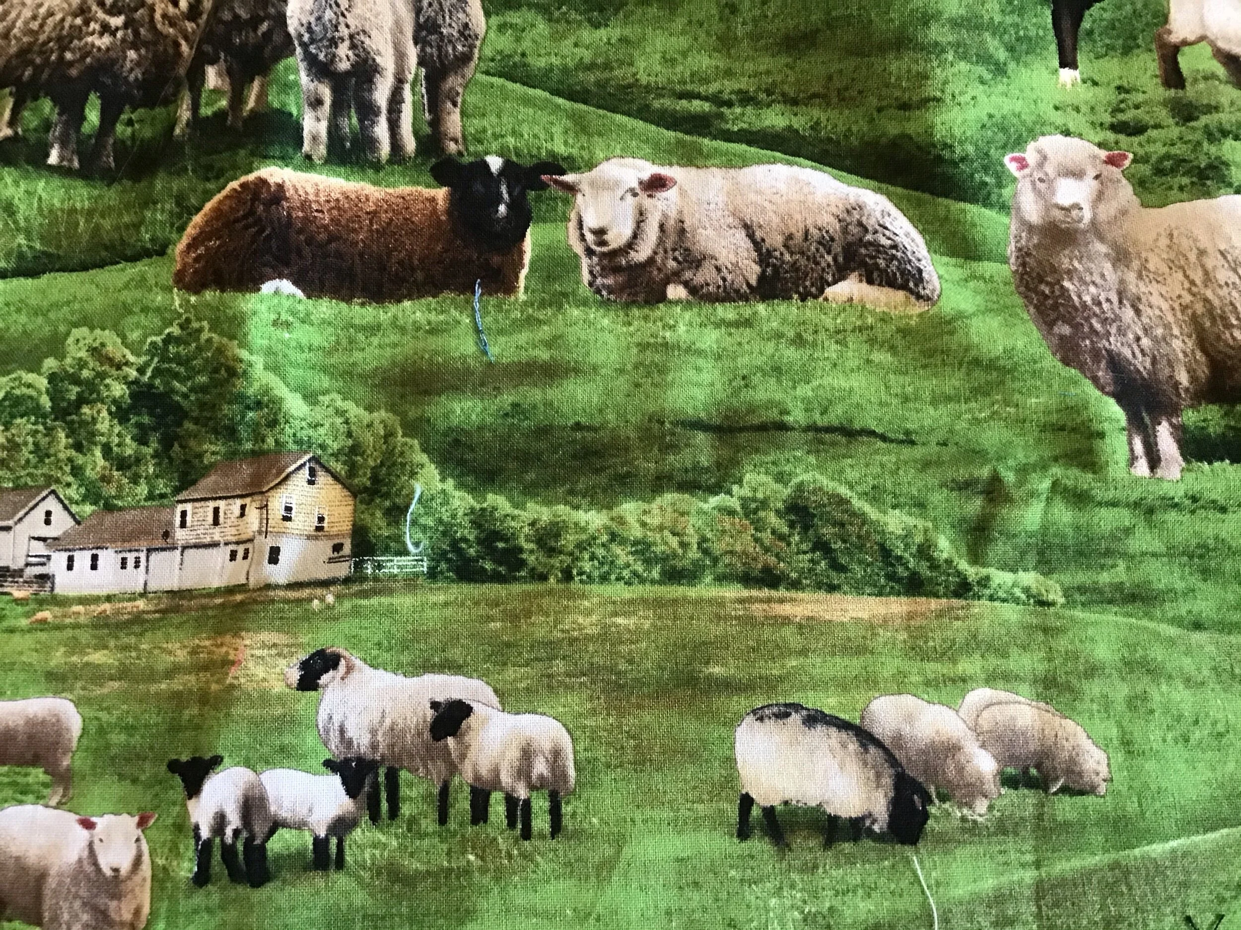 Novelty fabric quilt bloghop — Duck Creek Mountain Quilting