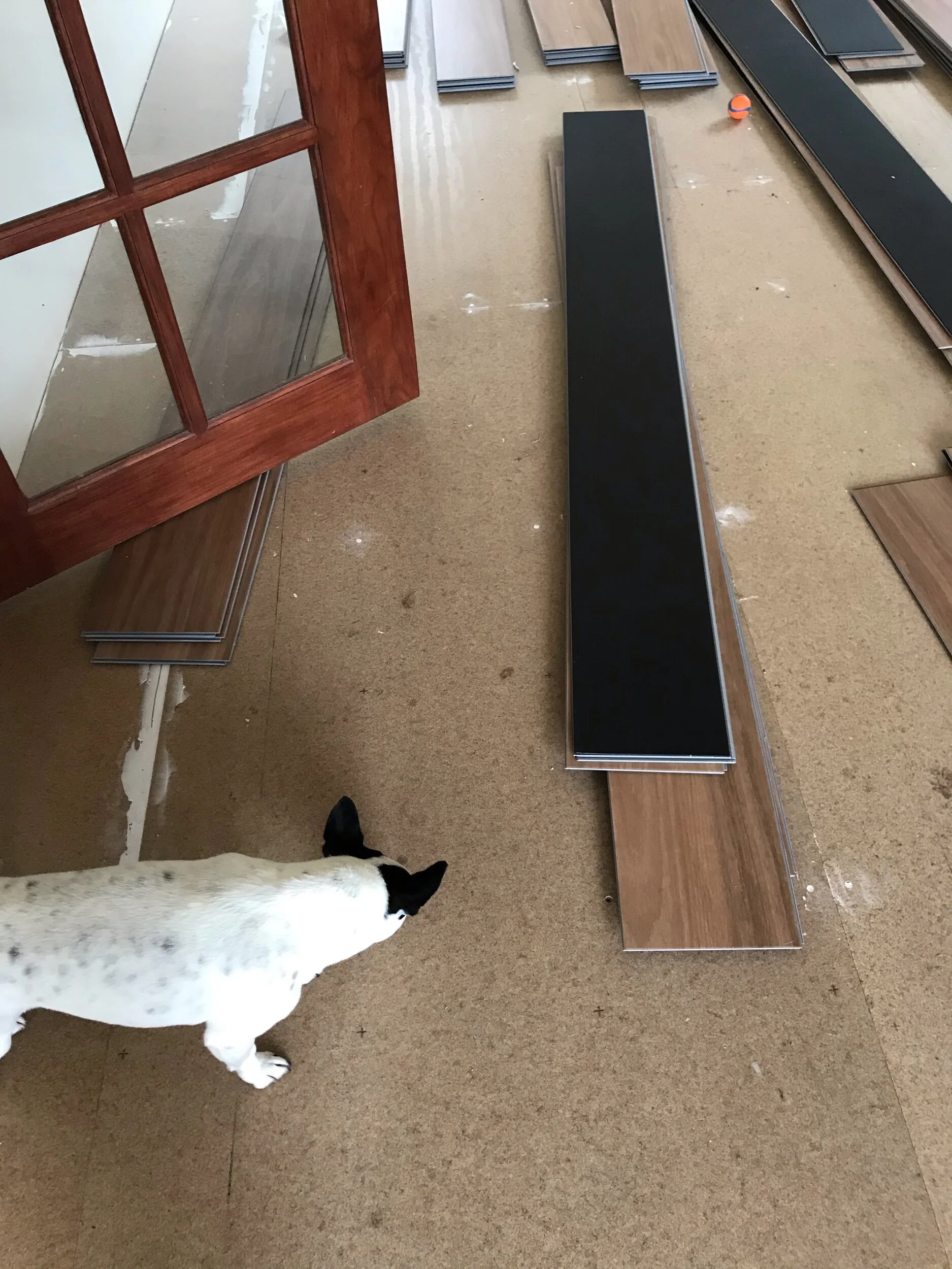 New Floor! (Wally is supervising)