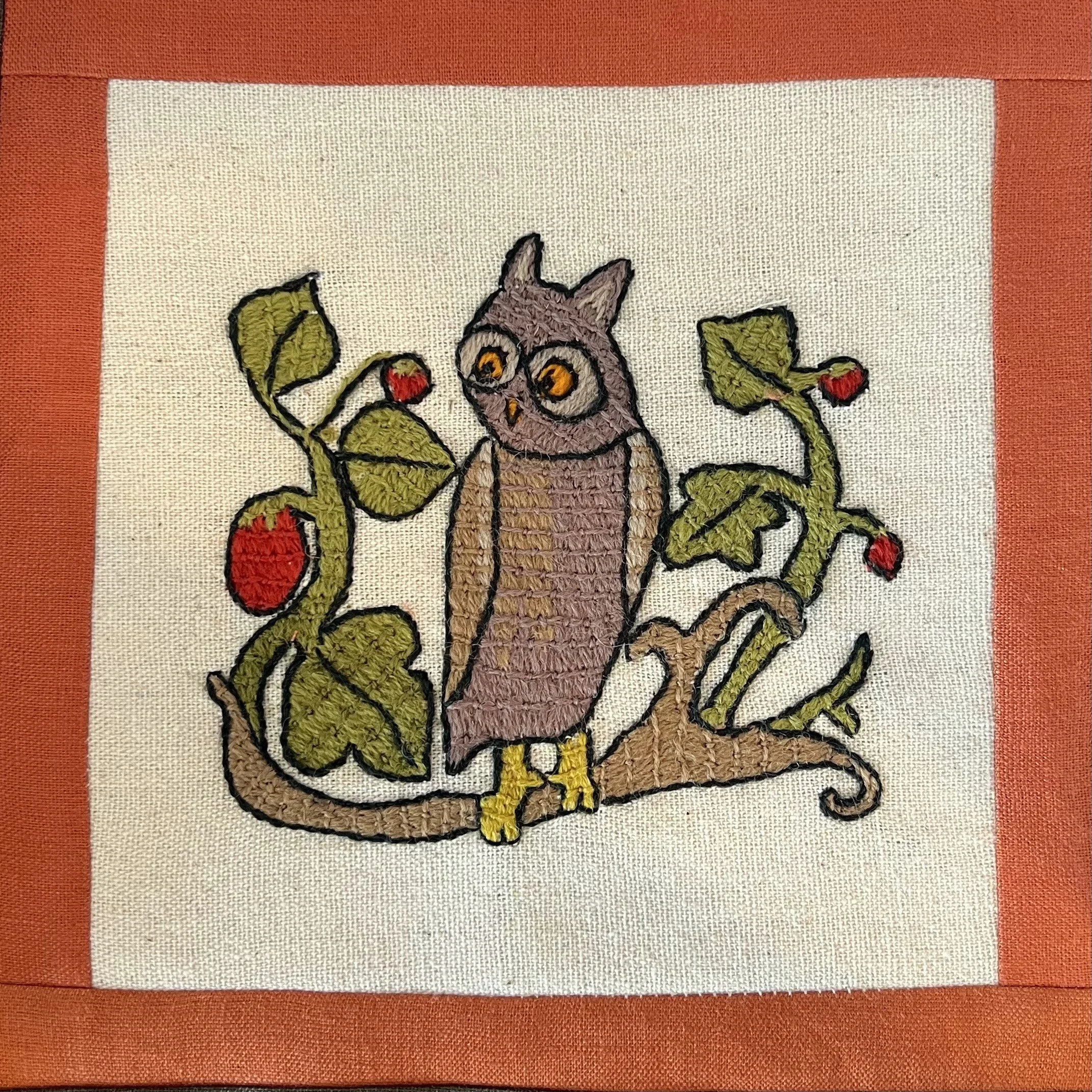 owl in the raspberries