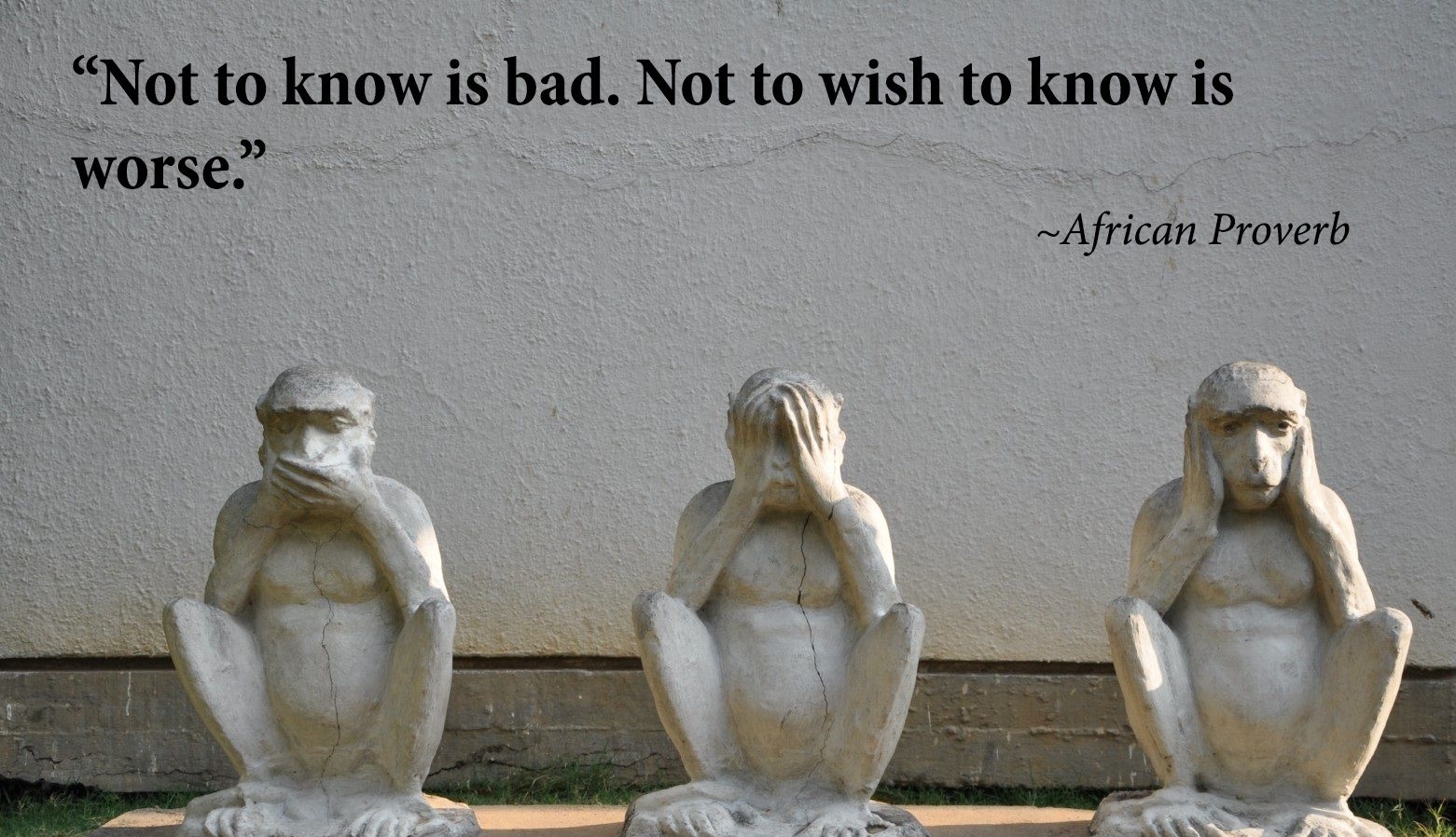 Wilful ignorance of the truth is just stupidity.