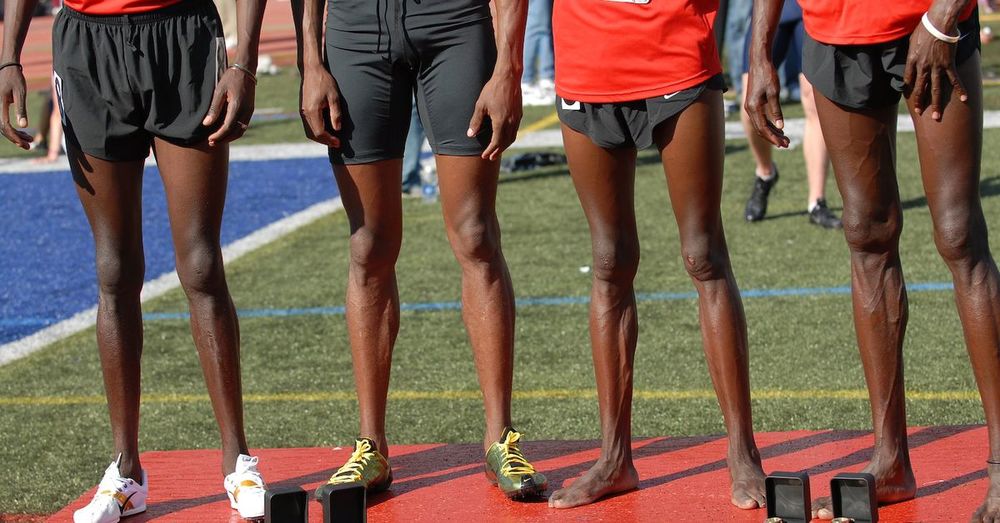 What race can I win? The 'marathon' legs of the Kalenjin