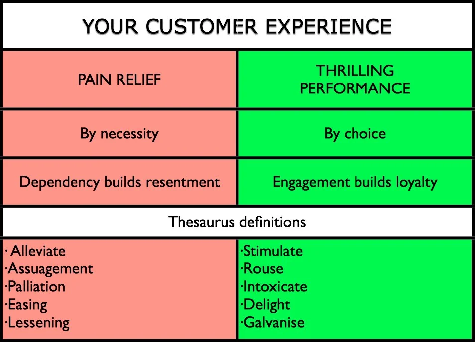 Do you give your customers pain relief or a thrilling performance?