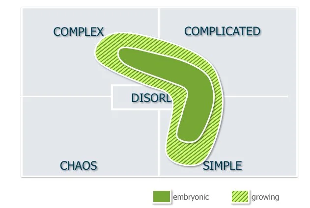 Curing growing pains with Cynefin