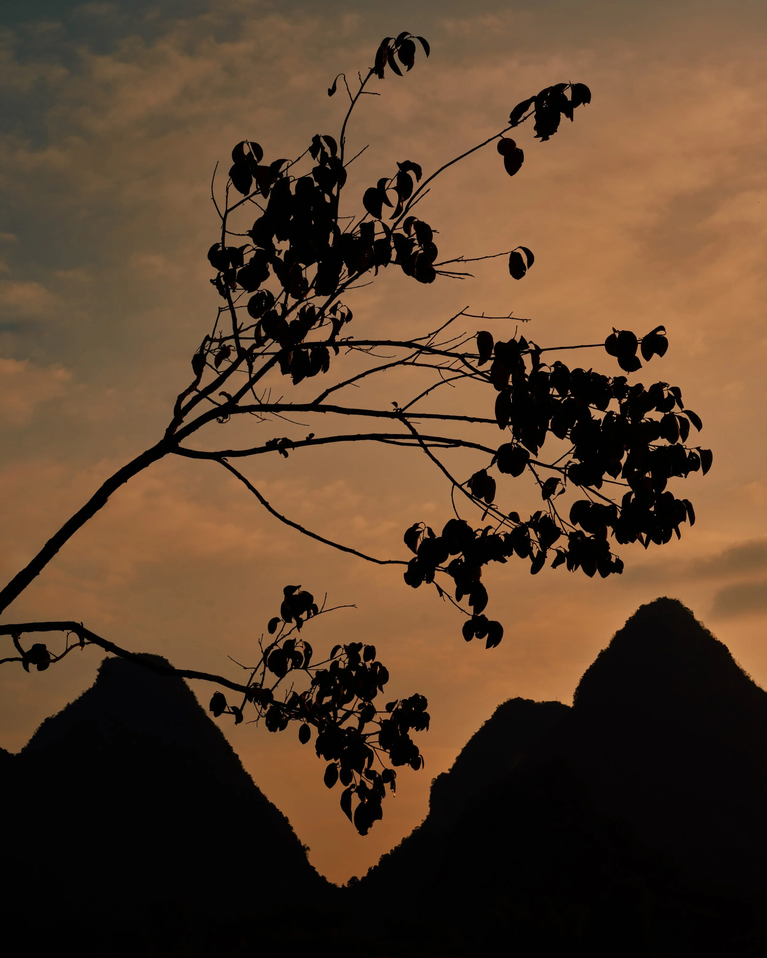 Upward, 70 x 87,5 cm_.jpg