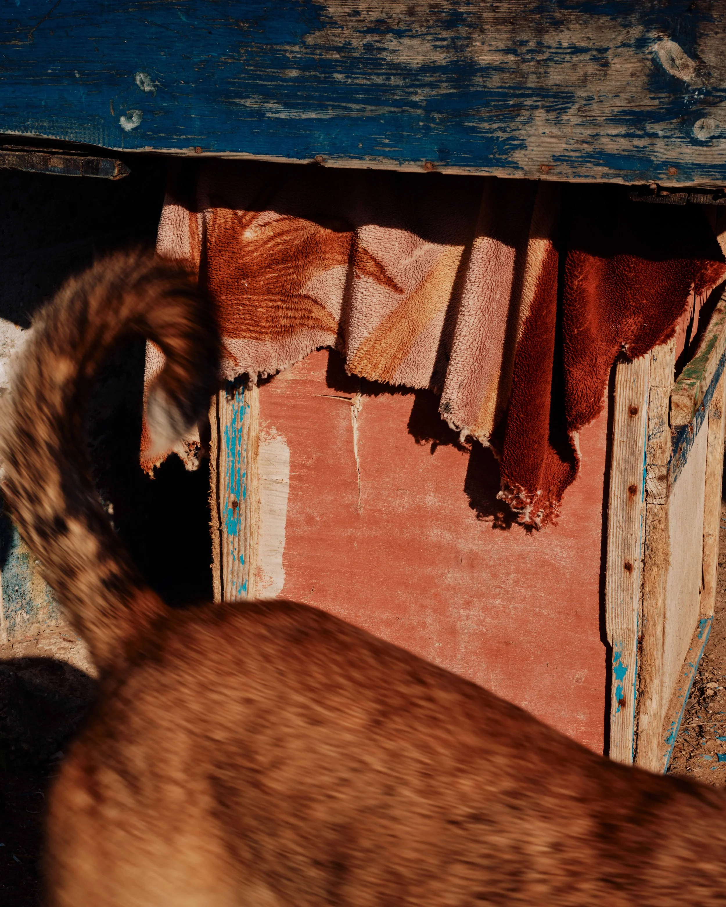 DSCF1285 1.jpg