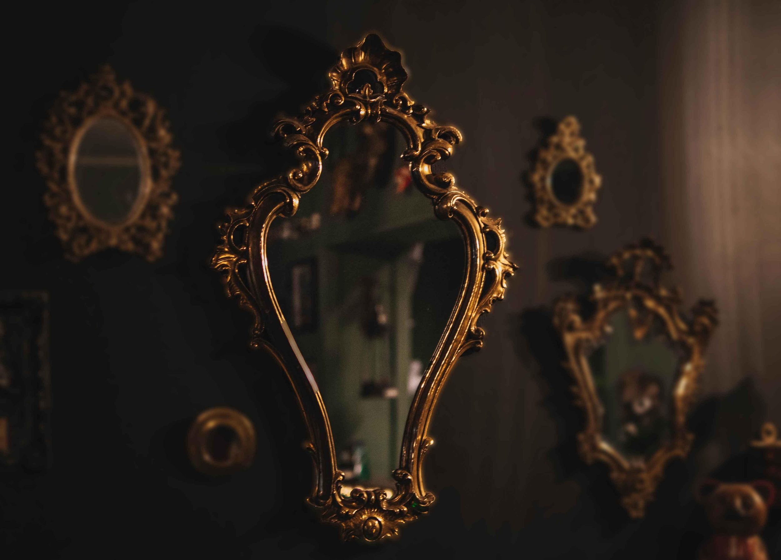 Forest Collective | Diapsalmata: Portrait of a Self 