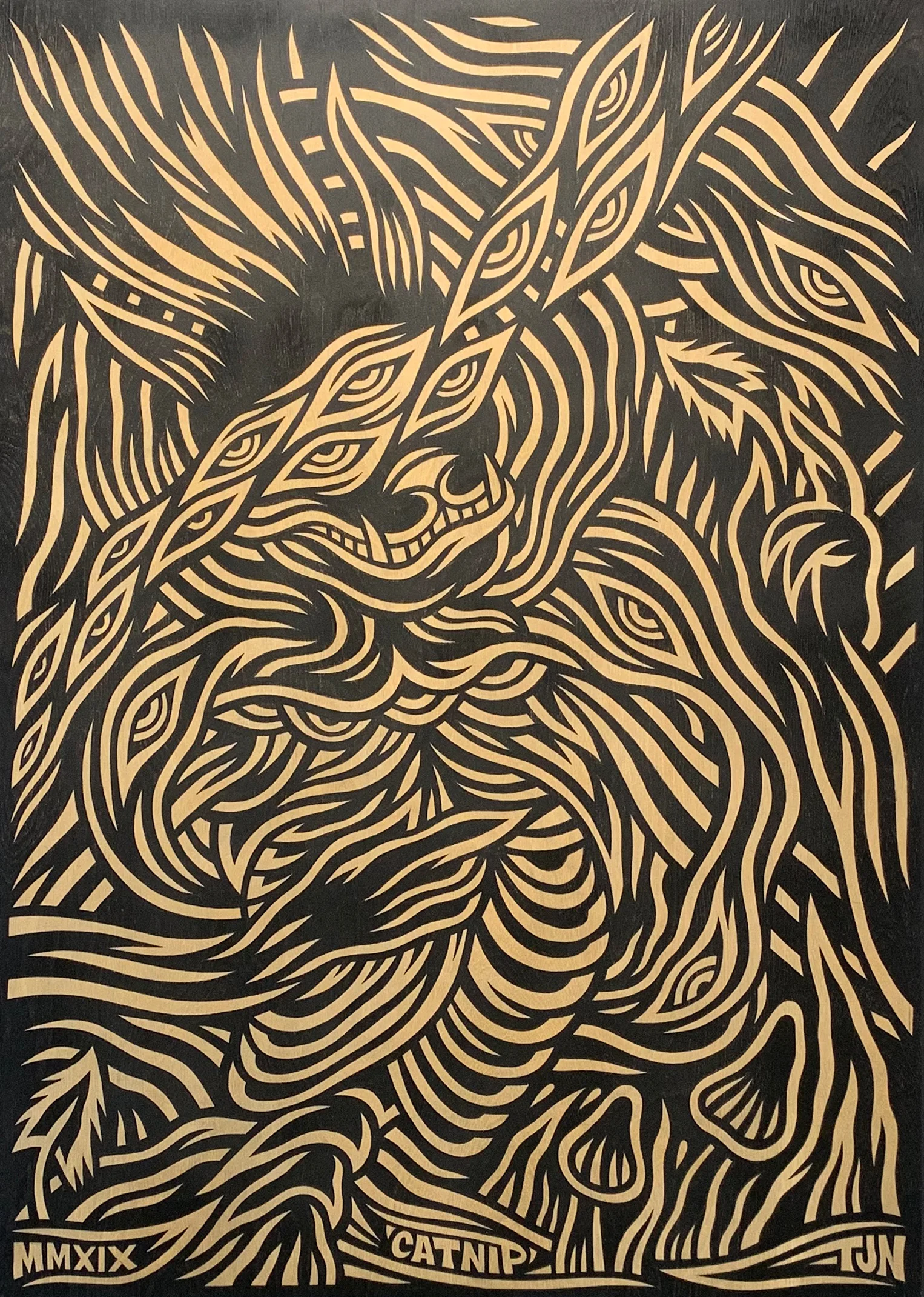 'Catnip' by Tom J Newell