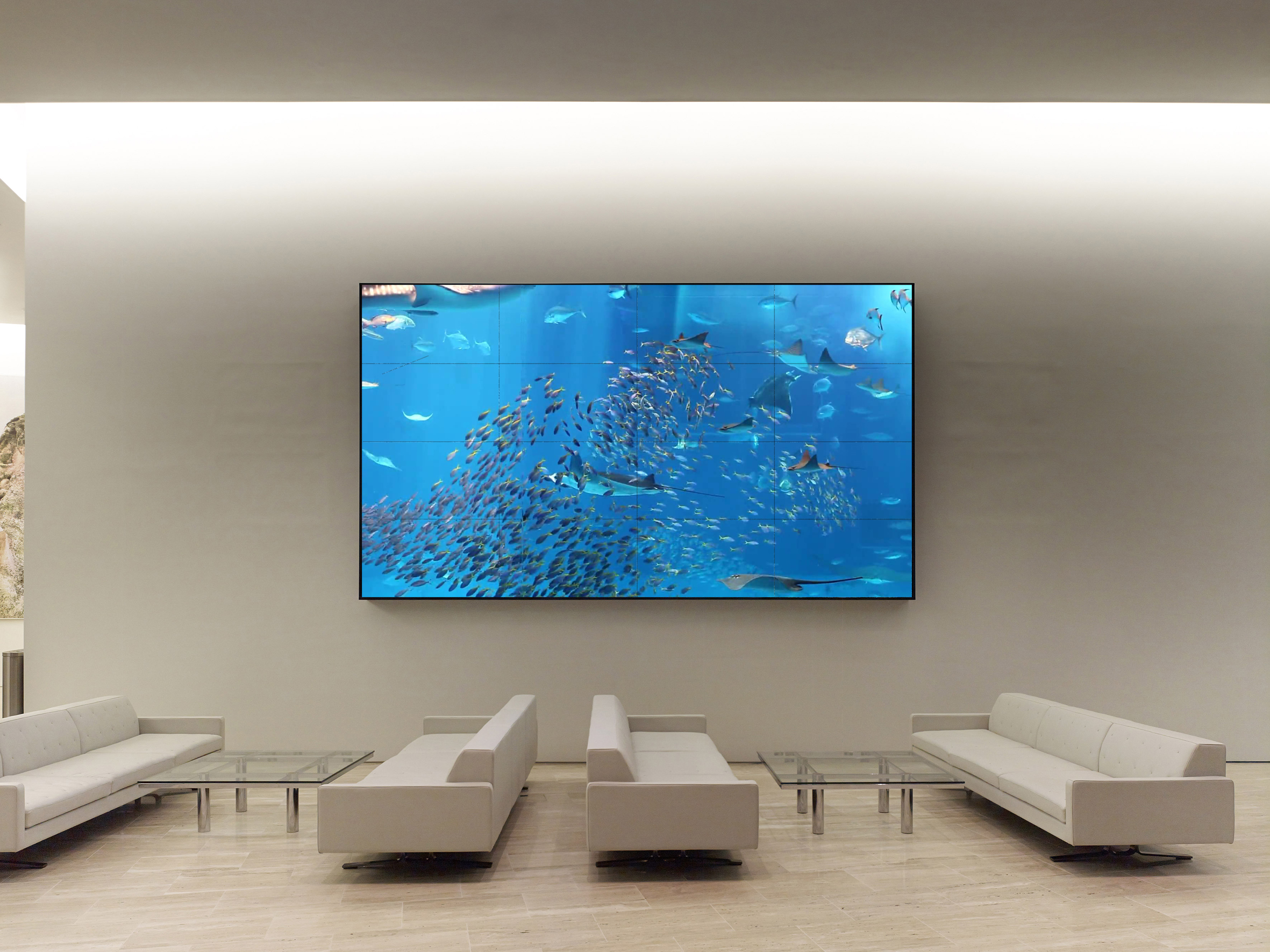 Fish_01.jpg