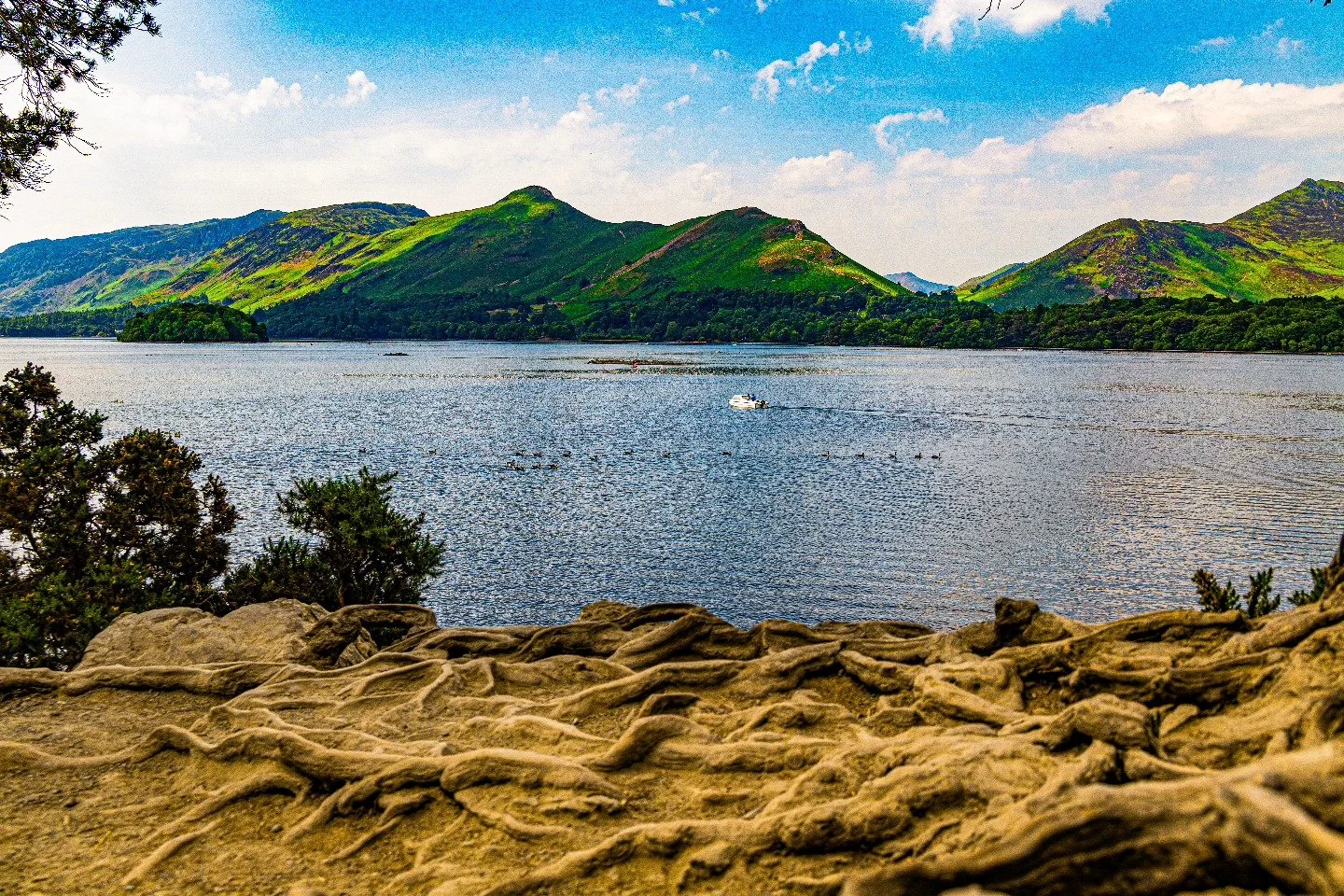 Looking out  at catbells #windmere #lakedistrict #landscape #photooftheday #photographylovers #canonuk #canon #vangaurdphotouk #travelphotography #jessopsmoment #lakelife