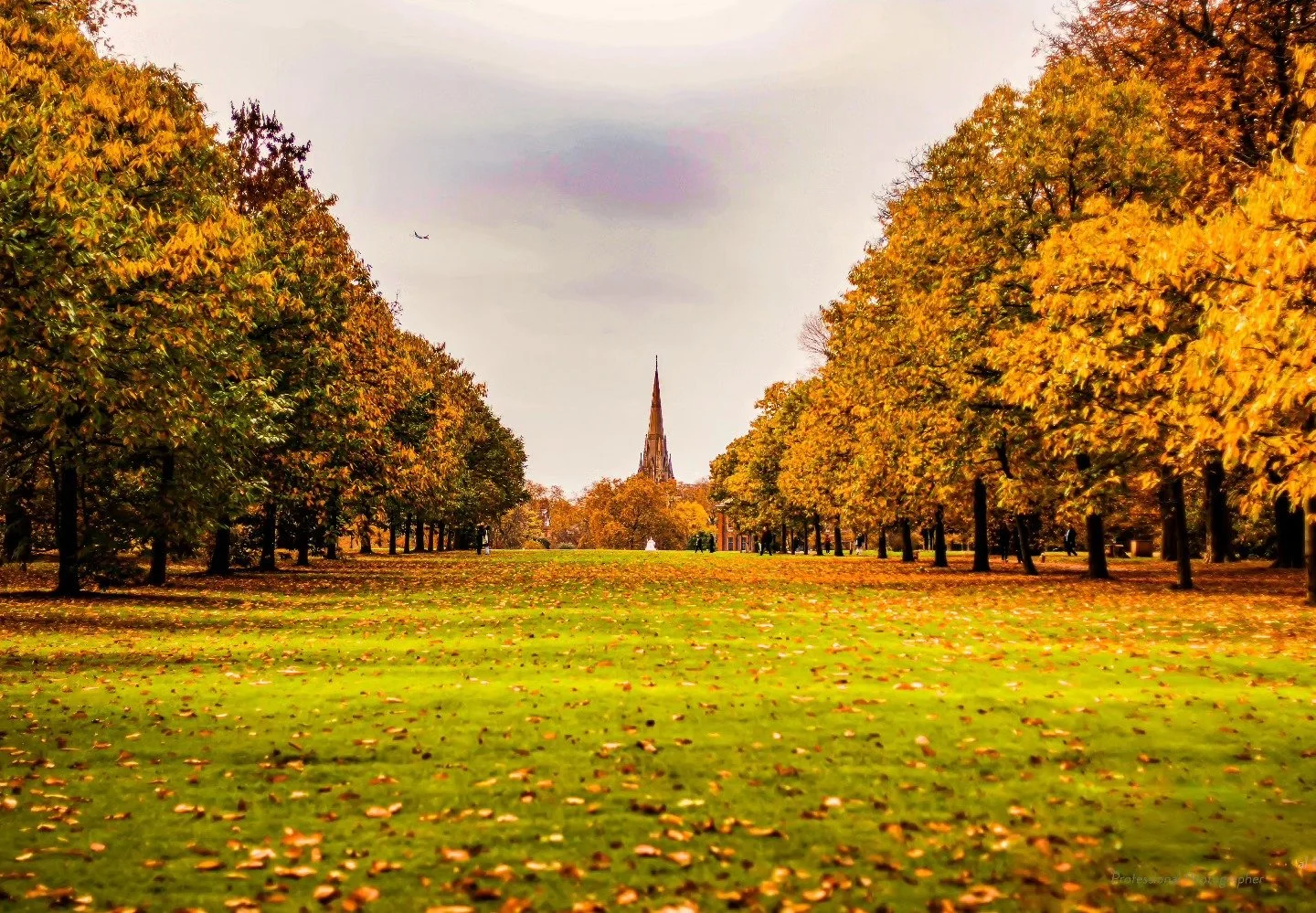AUTUMN 🍁 Is on its way #canonuk #vanguardphotouk #great_britain #london #autumnvibes #photooftheday #photocrowd #apmagazine #landscape #photography #photogram