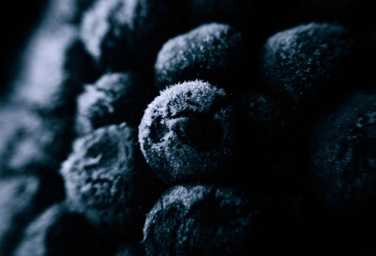 Have you ever taken a moment to appreciate the intricate beauty of frost-covered fruit? There&rsquo;s something truly magical about how nature transforms everyday objects into stunning works of art. In this close-up shot, you can see how the frost de