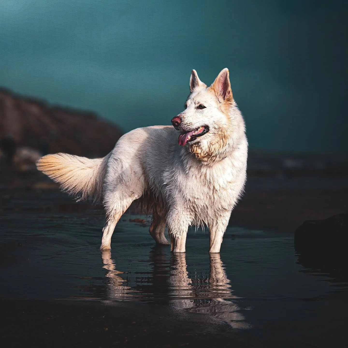 #photography #photooftheday #instagood #picoftheday #photo