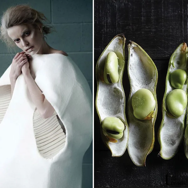 Left: Gabriele Skucas | Right: Hiroshi-Adachi